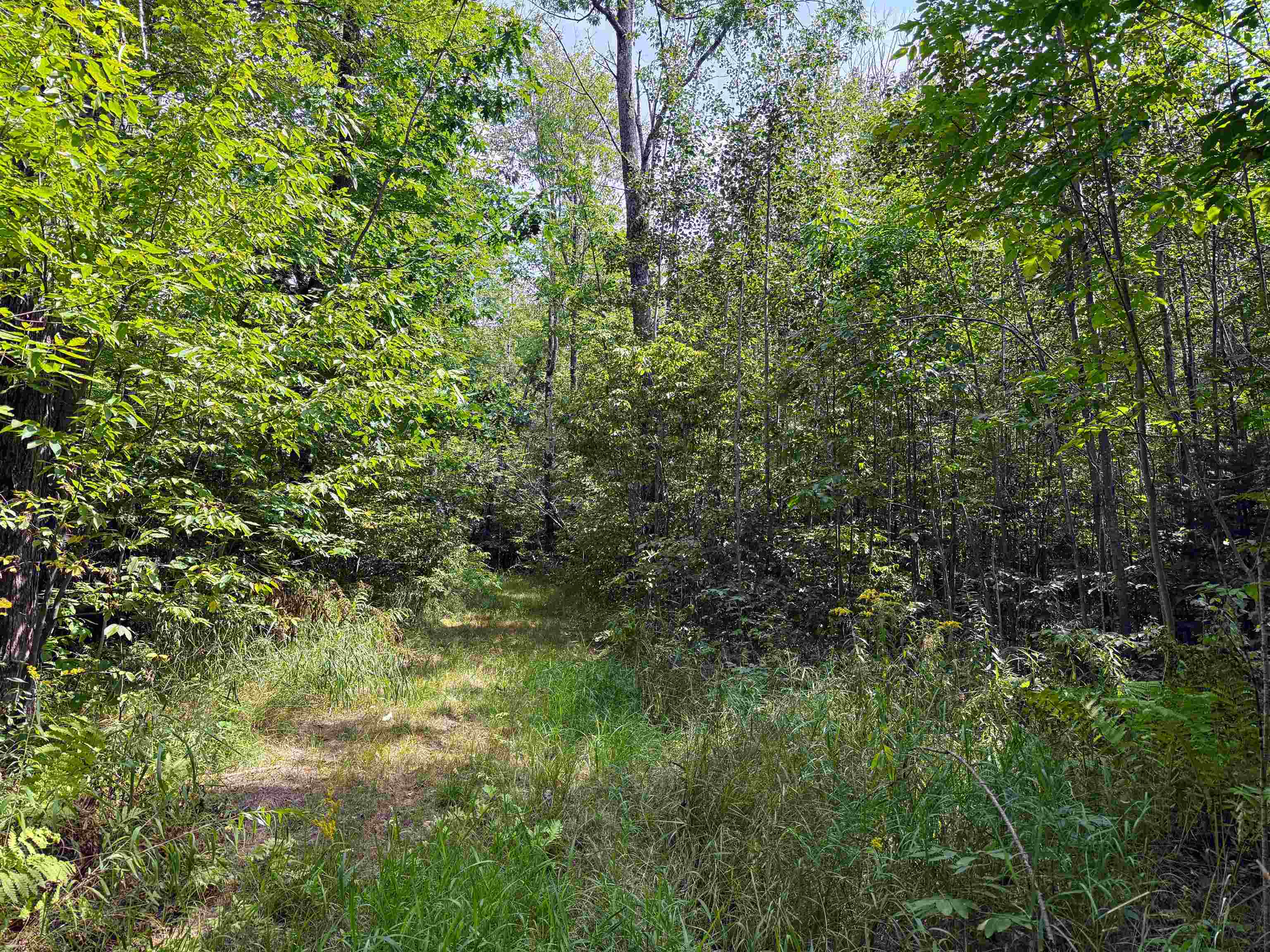 N5402 ASPEN ROAD, Brantwood, Wisconsin 54513, ,Land,For Sale,N5402 ASPEN ROAD,22604007