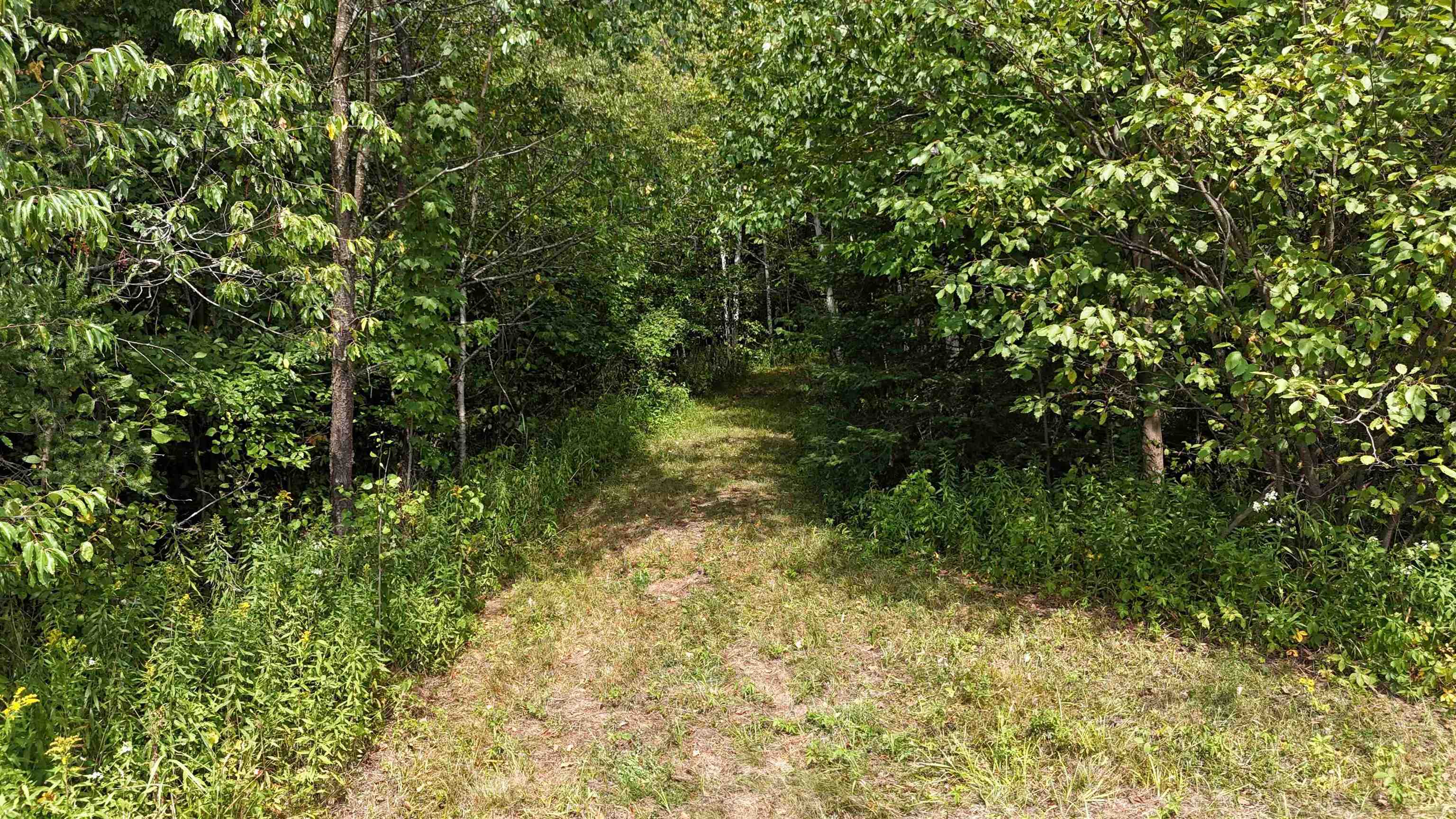N5402 ASPEN ROAD, Brantwood, Wisconsin 54513, ,Land,For Sale,N5402 ASPEN ROAD,22604007