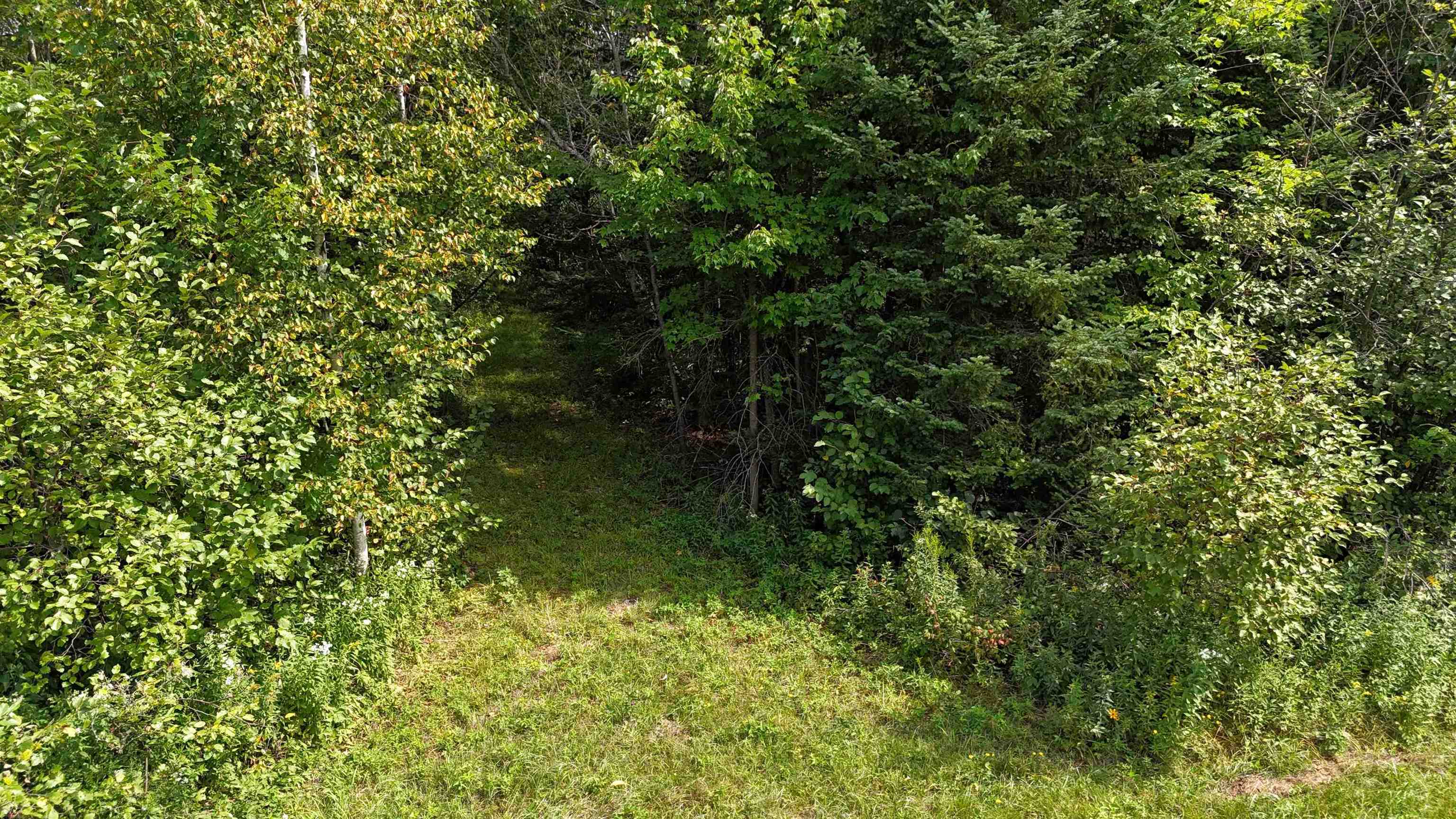N5402 ASPEN ROAD, Brantwood, Wisconsin 54513, ,Land,For Sale,N5402 ASPEN ROAD,22604007