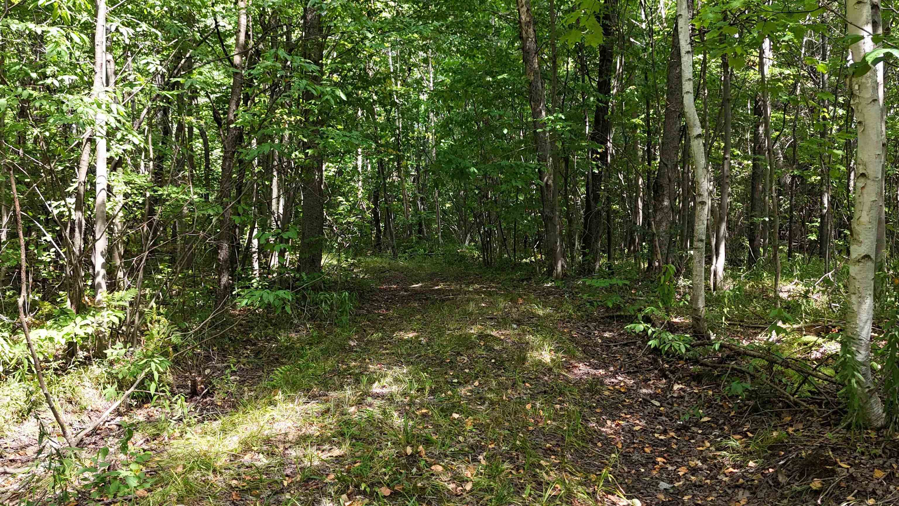 N5402 ASPEN ROAD, Brantwood, Wisconsin 54513, ,Land,For Sale,N5402 ASPEN ROAD,22604007