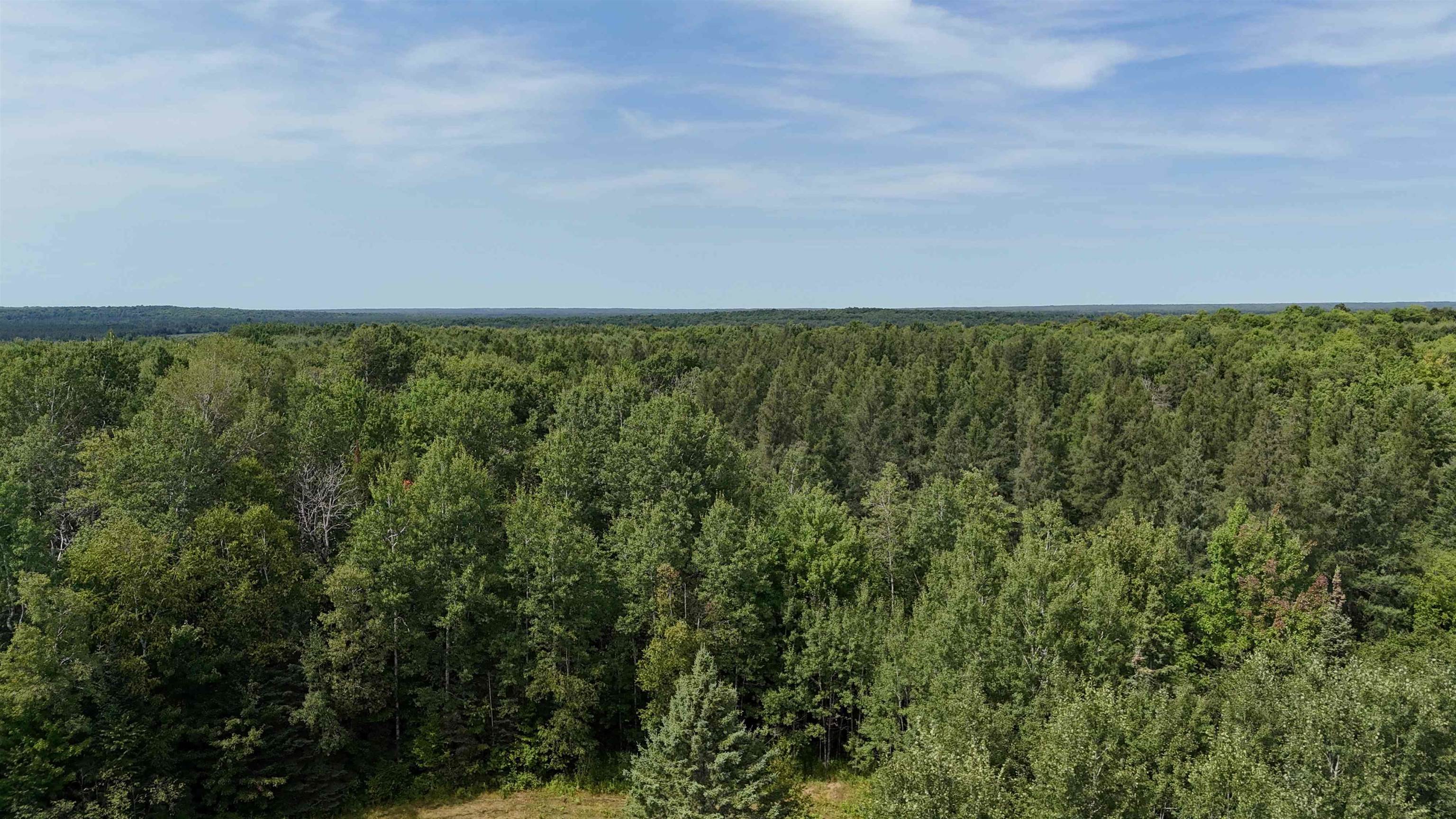 N5402 ASPEN ROAD, Brantwood, Wisconsin 54513, ,Land,For Sale,N5402 ASPEN ROAD,22604007