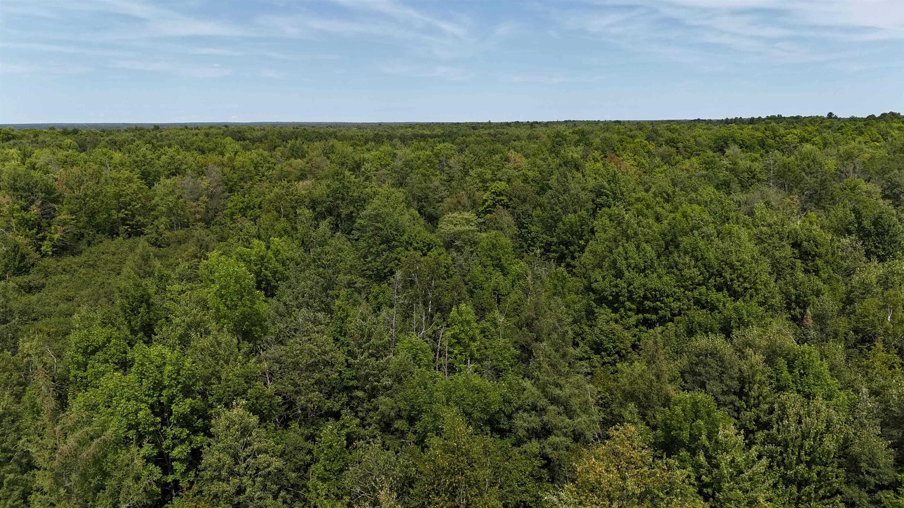 N5402 ASPEN ROAD, Brantwood, Wisconsin 54513, ,Land,For Sale,N5402 ASPEN ROAD,22604007