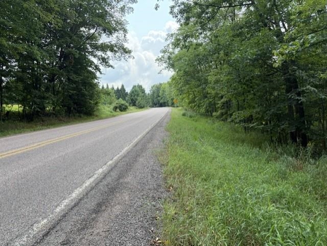 16 Acres COUNTY ROAD B, Pittsville, Wisconsin 54466, ,Land,For Sale,16 Acres COUNTY ROAD B,22604028