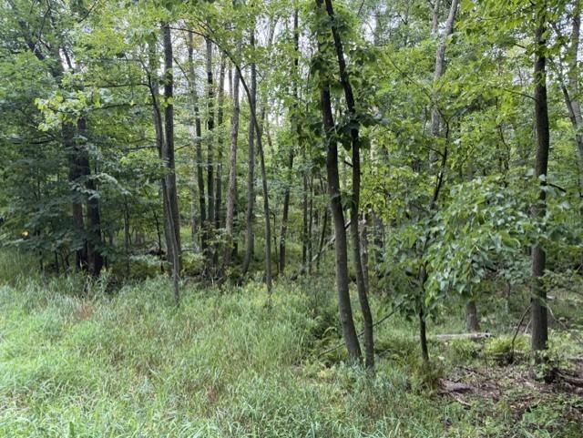 16 Acres COUNTY ROAD B, Pittsville, Wisconsin 54466, ,Land,For Sale,16 Acres COUNTY ROAD B,22604028