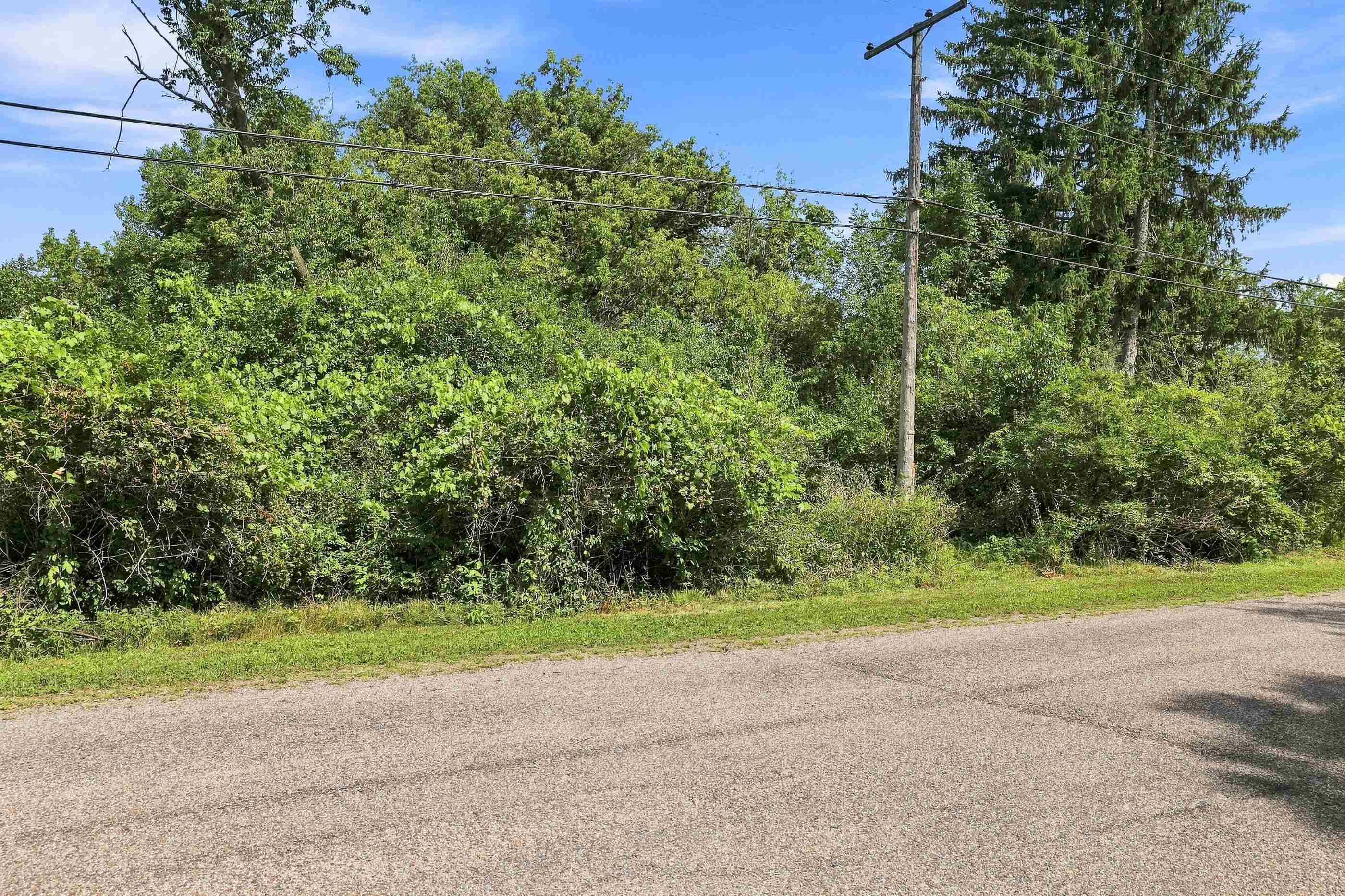 2230 ALTON STREET, Wisconsin Rapids, Wisconsin 54495, ,Land,For Sale,2230 ALTON STREET,22604045