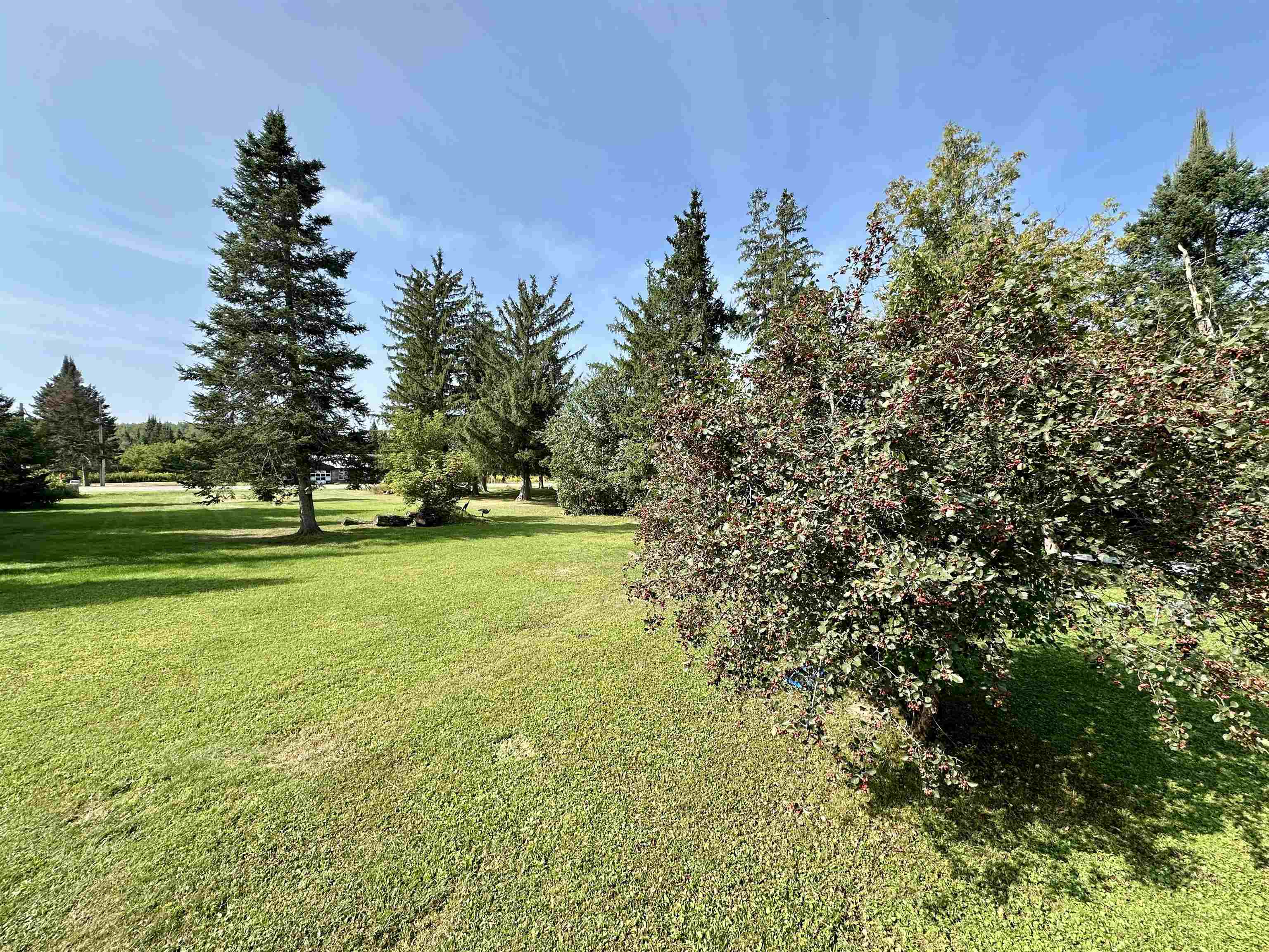 N7818 MARSHALL LANE, Lily, Wisconsin 54491, 1 Bedroom Bedrooms, ,Residential,For Sale,N7818 MARSHALL LANE,22604056