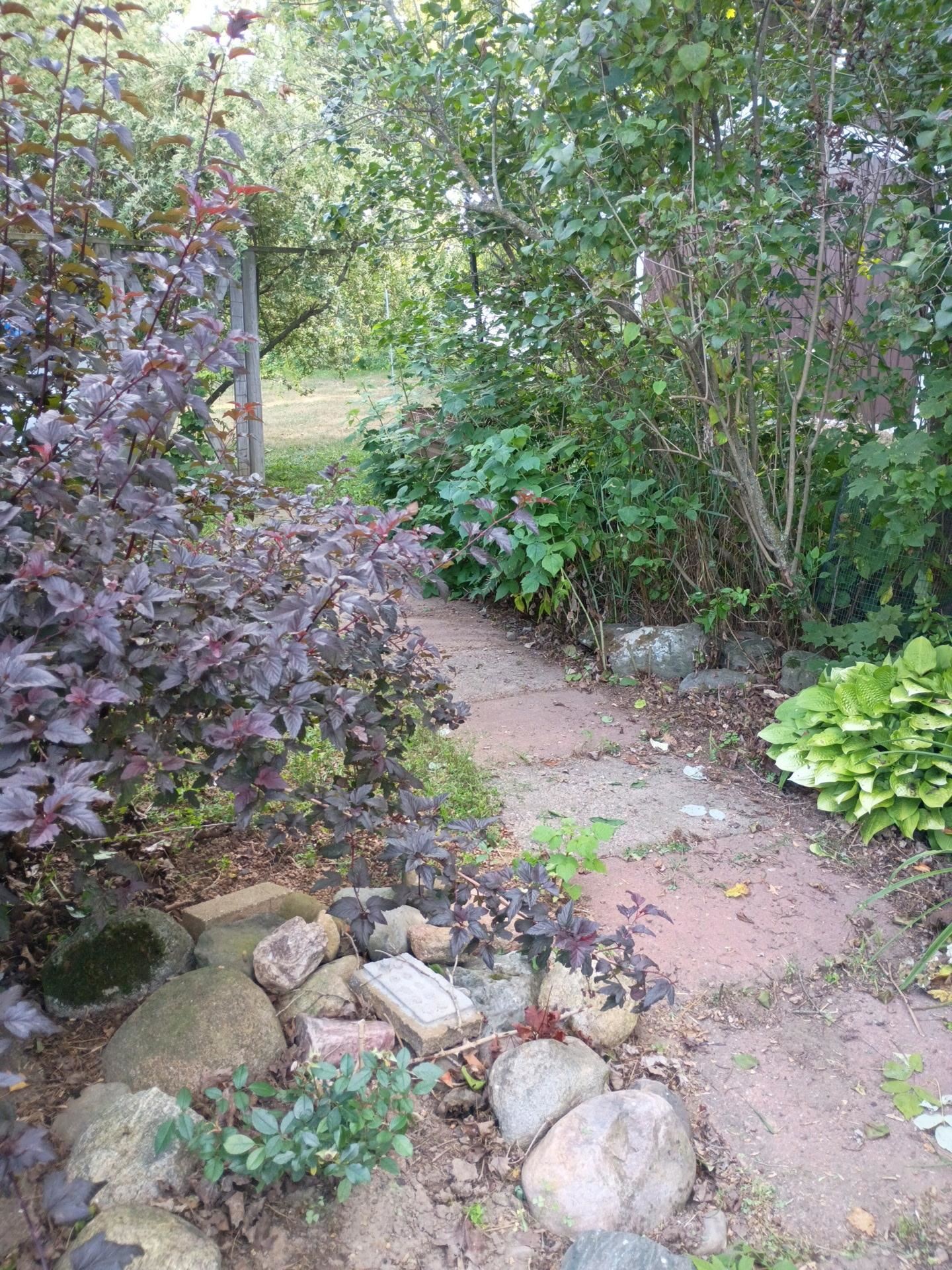 N6616 COUNTY ROAD V, Deerbrook, Wisconsin 54424, 3 Bedrooms Bedrooms, ,1 BathroomBathrooms,Residential,For Sale,N6616 COUNTY ROAD V,22604057
