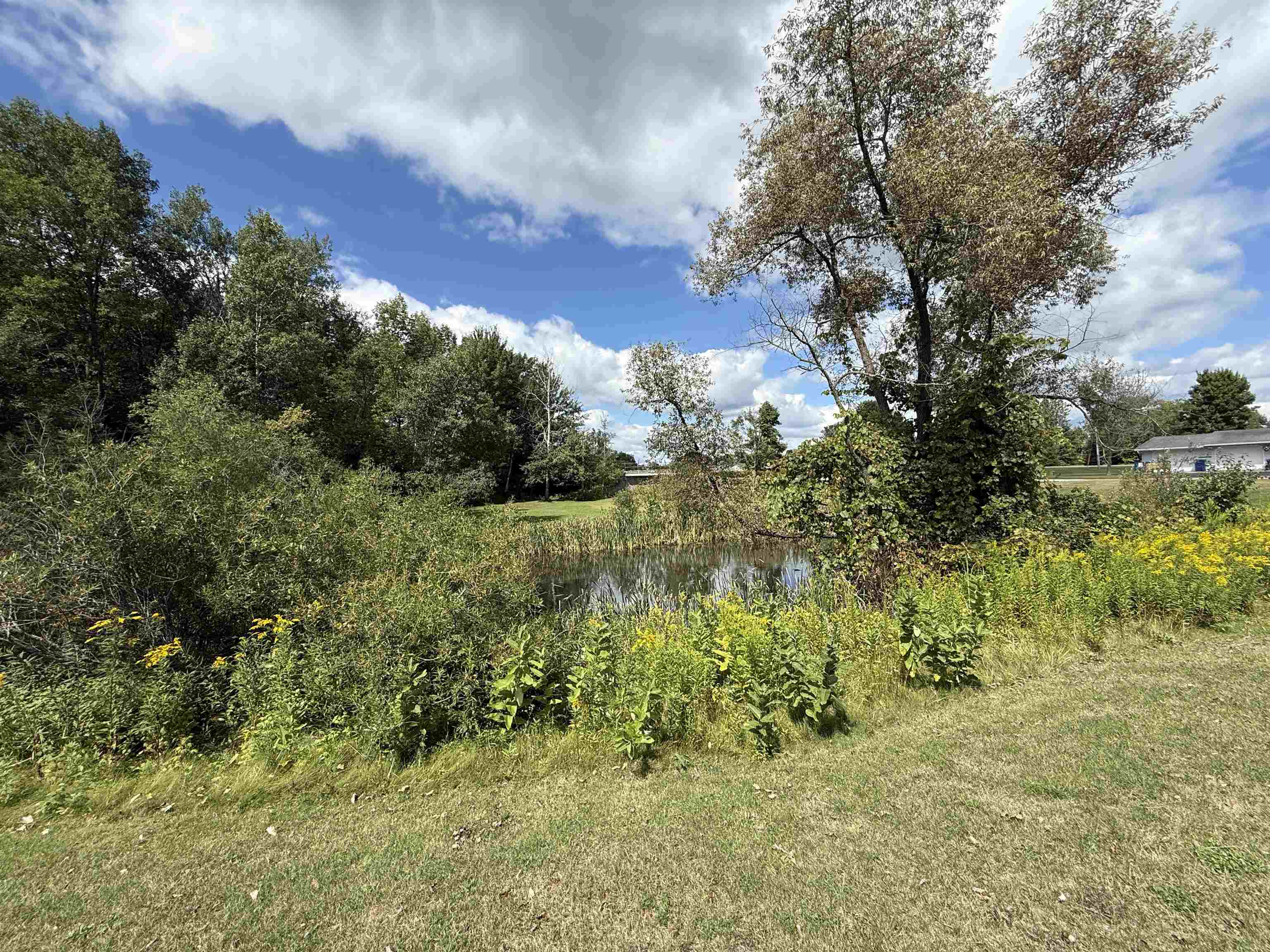 469 SARAH STREET, Birnamwood, Wisconsin 54414, 3 Bedrooms Bedrooms, ,2 BathroomsBathrooms,Residential,For Sale,469 SARAH STREET,22604120