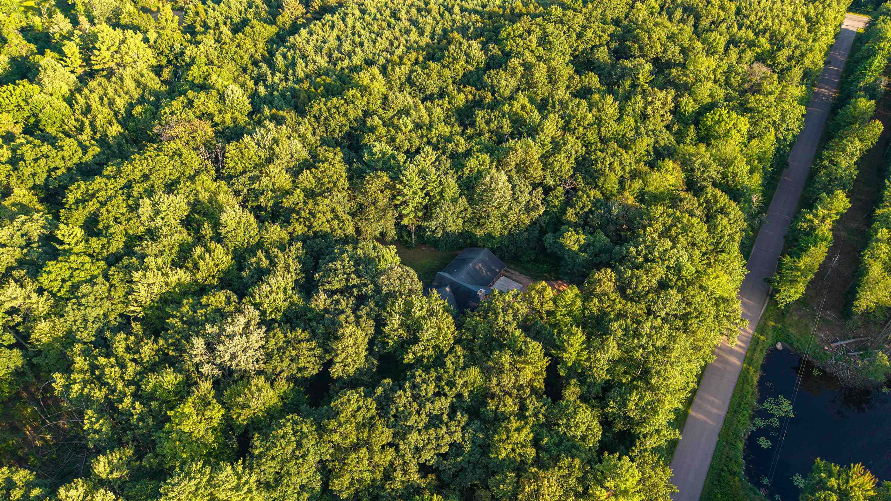 203739 YELLOW BIRCH ROAD, Rosholt, Wisconsin 54473, 3 Bedrooms Bedrooms, ,2 BathroomsBathrooms,Residential,For Sale,203739 YELLOW BIRCH ROAD,22604141