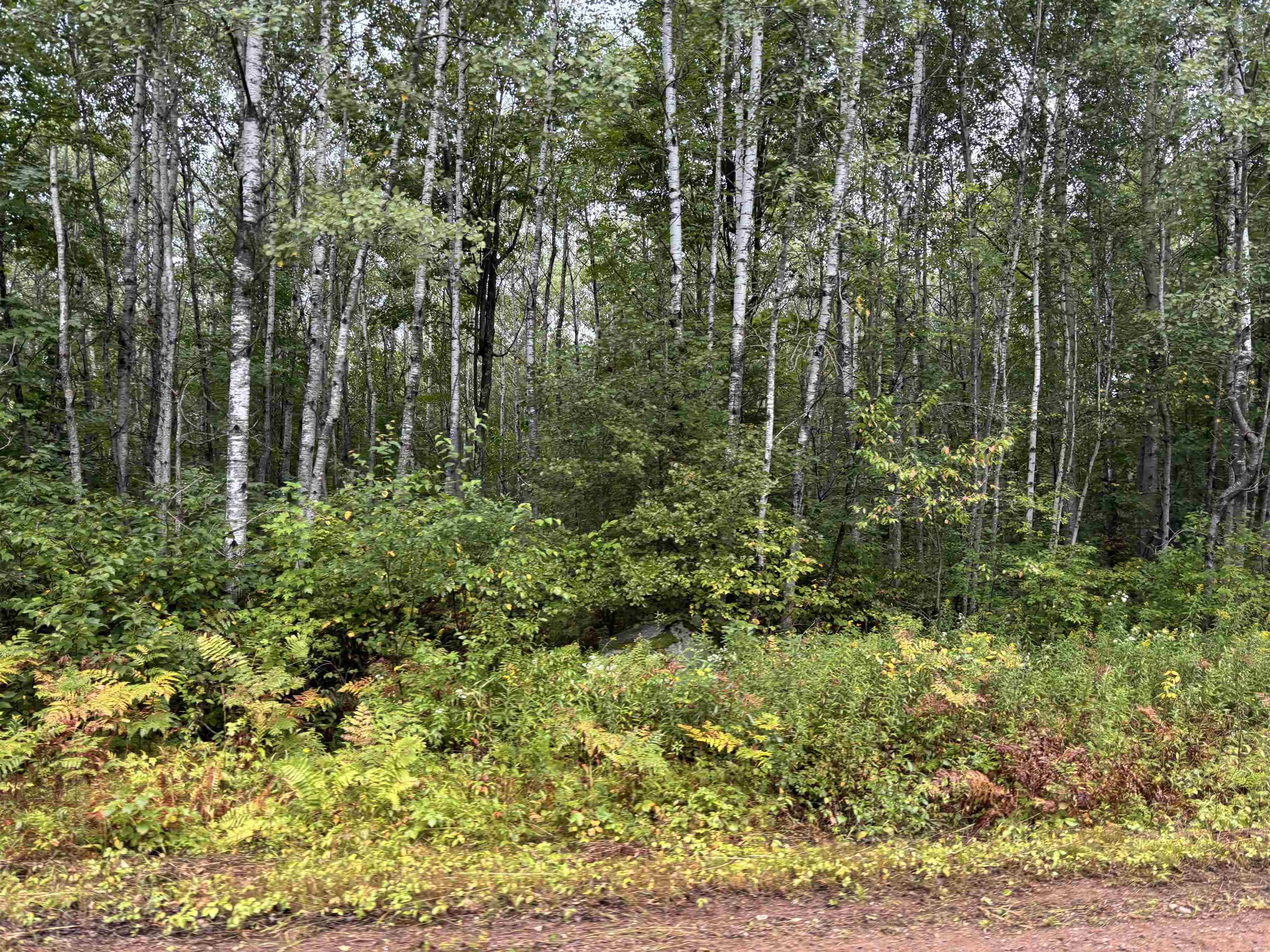 ARMSTRONG CREEK ROAD, Tomahawk, Wisconsin 54487, ,Land,For Sale,ARMSTRONG CREEK ROAD,22604144