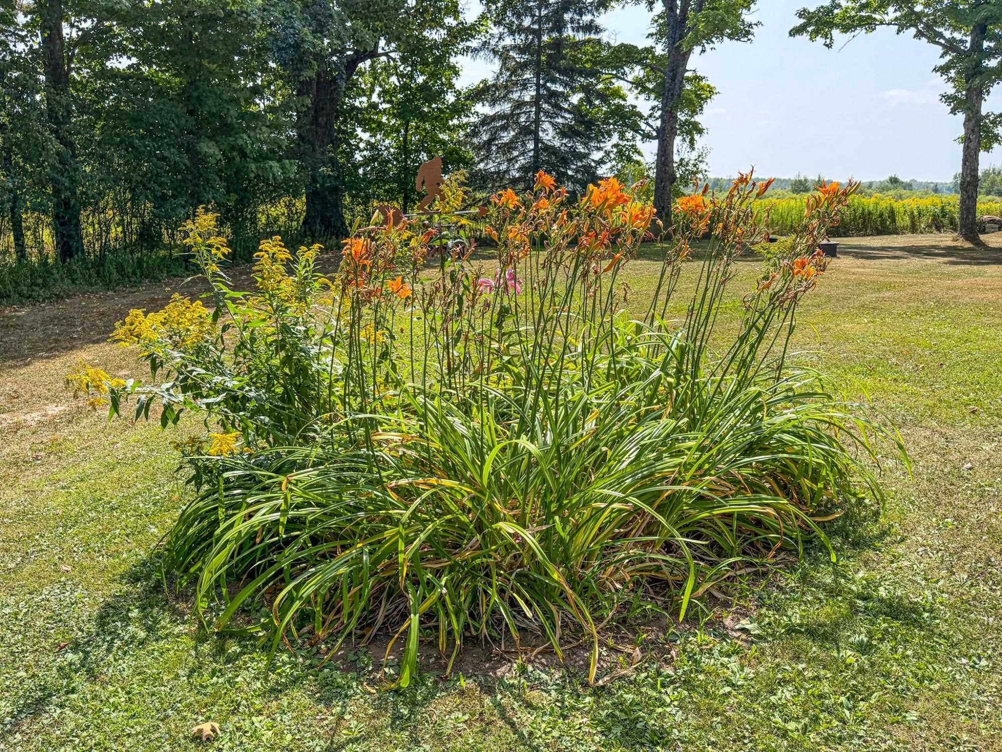 N3979 OXBOW ROAD, Catawba, Wisconsin 54516, 3 Bedrooms Bedrooms, ,2 BathroomsBathrooms,Residential,For Sale,N3979 OXBOW ROAD,22604156