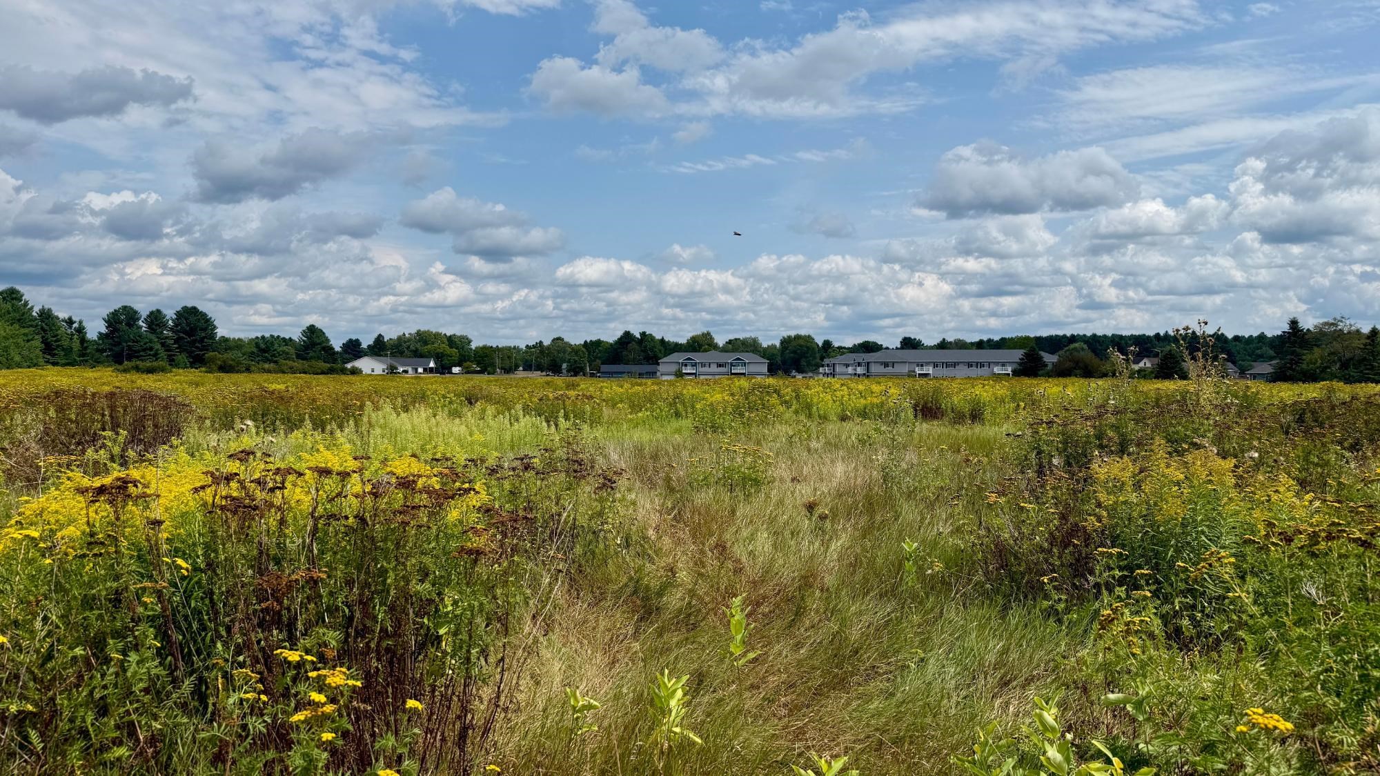 605 ALEXANDER STREET, Merrill, Wisconsin 54452, ,Commercial/industrial,For Sale,605 ALEXANDER STREET,22604158