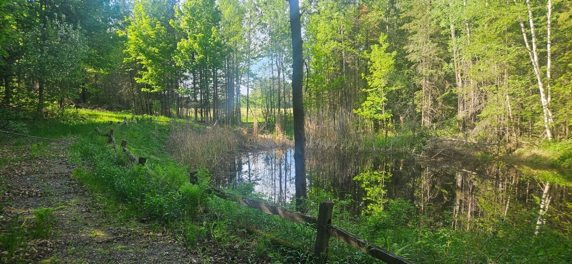 On FIGI ROAD, PARKFALLS, Wisconsin 54552, ,Land,For Sale,On FIGI ROAD,22604181