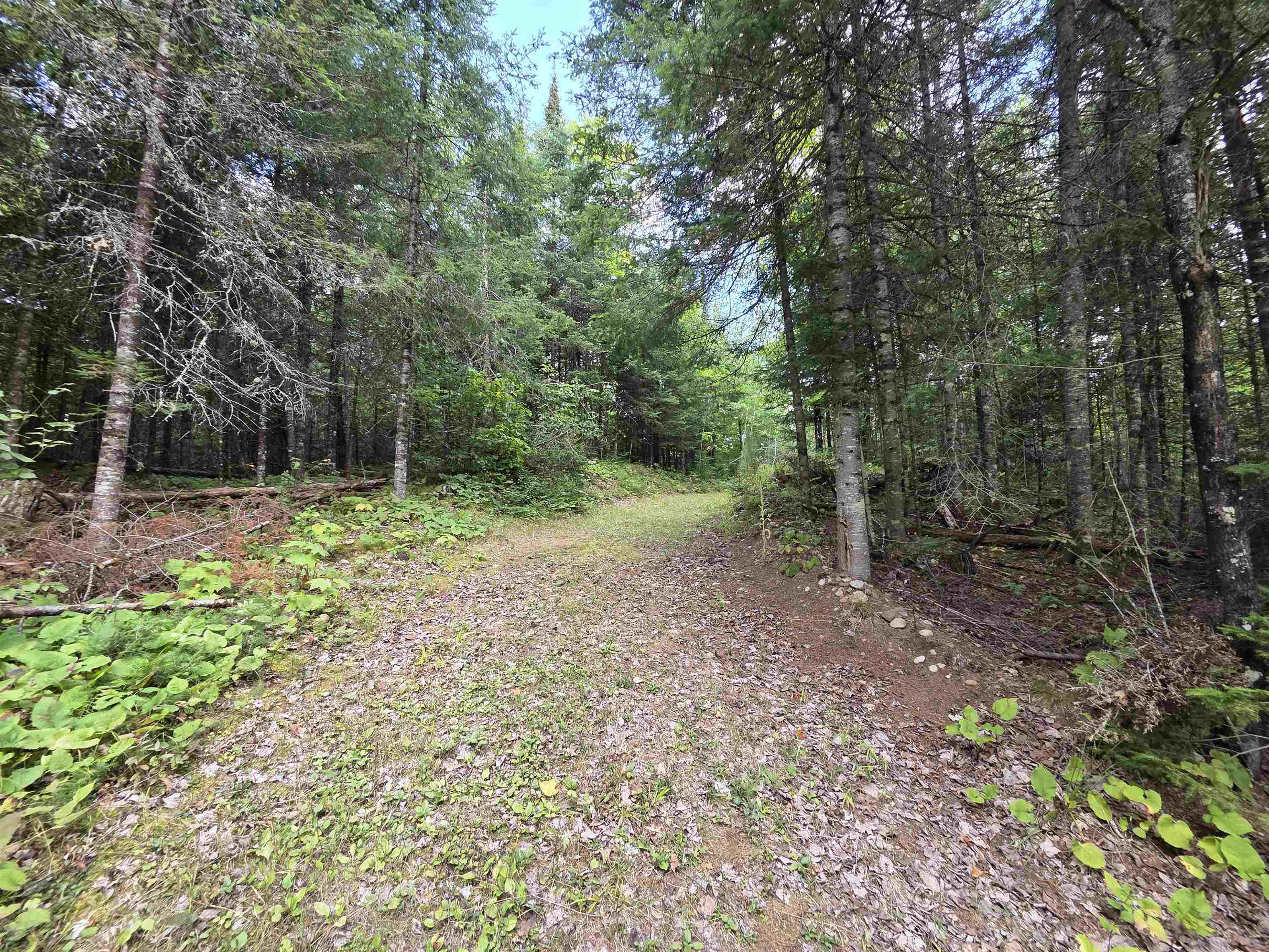 On FIGI ROAD, PARKFALLS, Wisconsin 54552, ,Land,For Sale,On FIGI ROAD,22604181