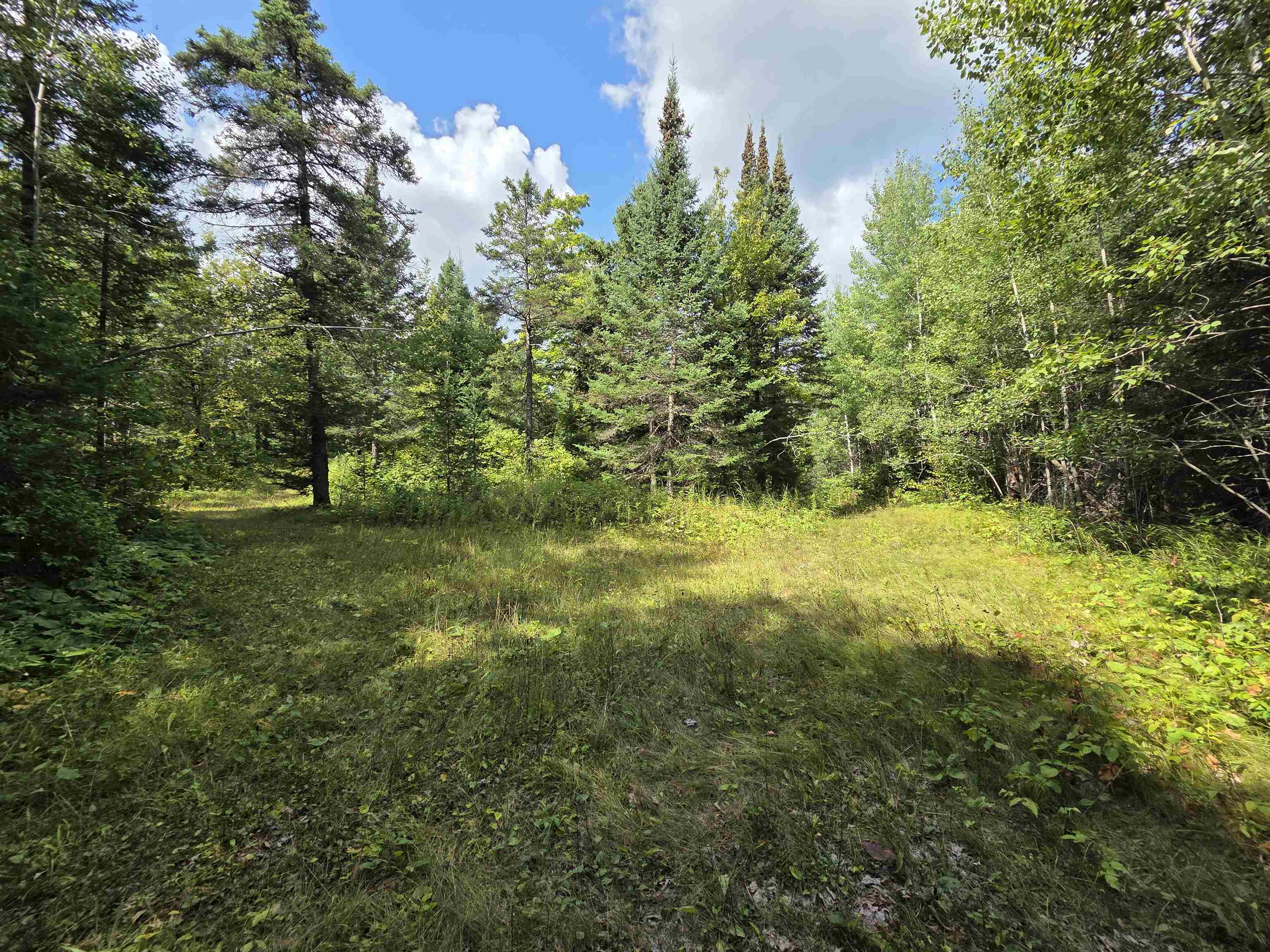 On FIGI ROAD, PARKFALLS, Wisconsin 54552, ,Land,For Sale,On FIGI ROAD,22604181