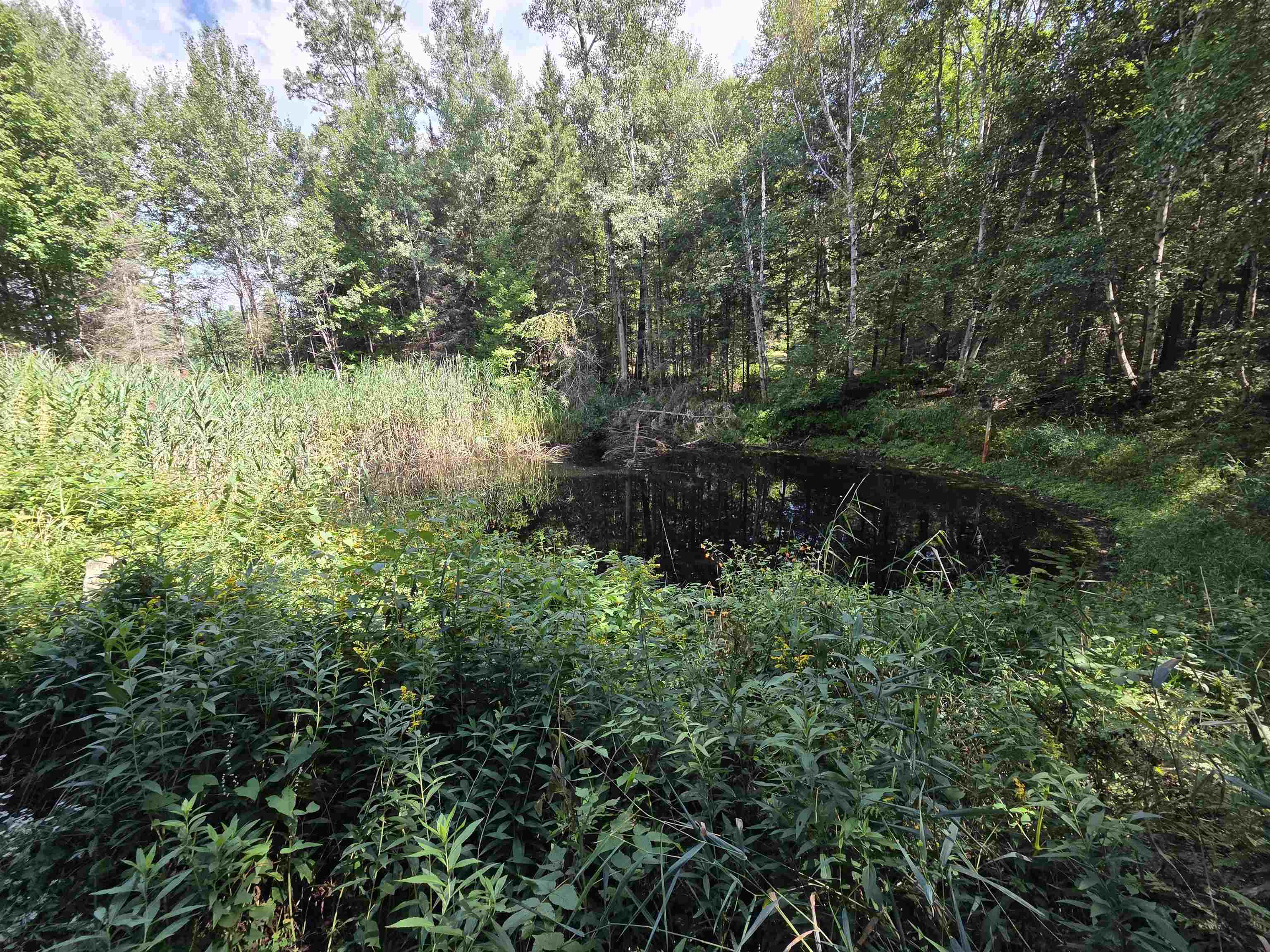 On FIGI ROAD, PARKFALLS, Wisconsin 54552, ,Land,For Sale,On FIGI ROAD,22604181