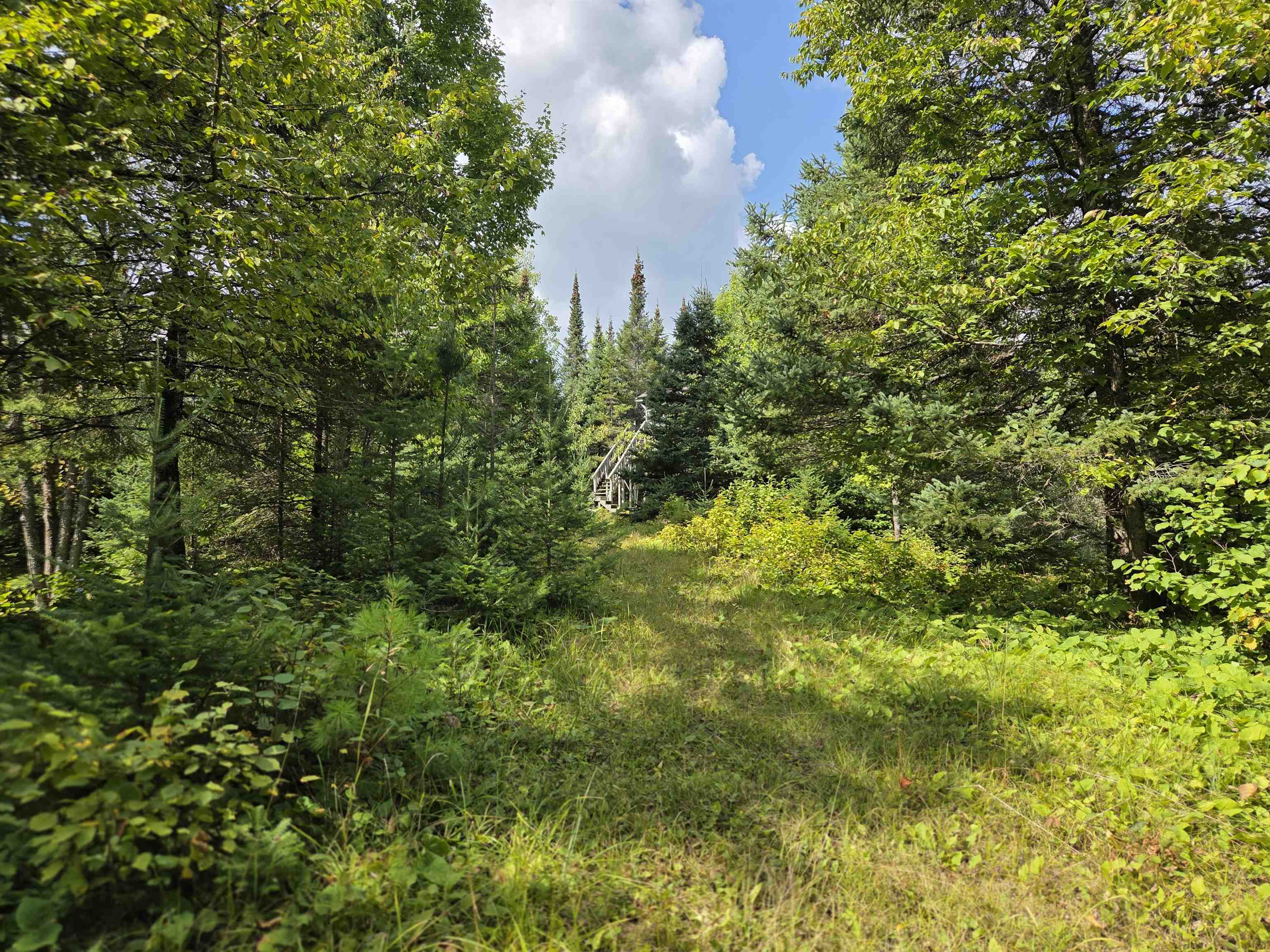 On FIGI ROAD, PARKFALLS, Wisconsin 54552, ,Land,For Sale,On FIGI ROAD,22604181