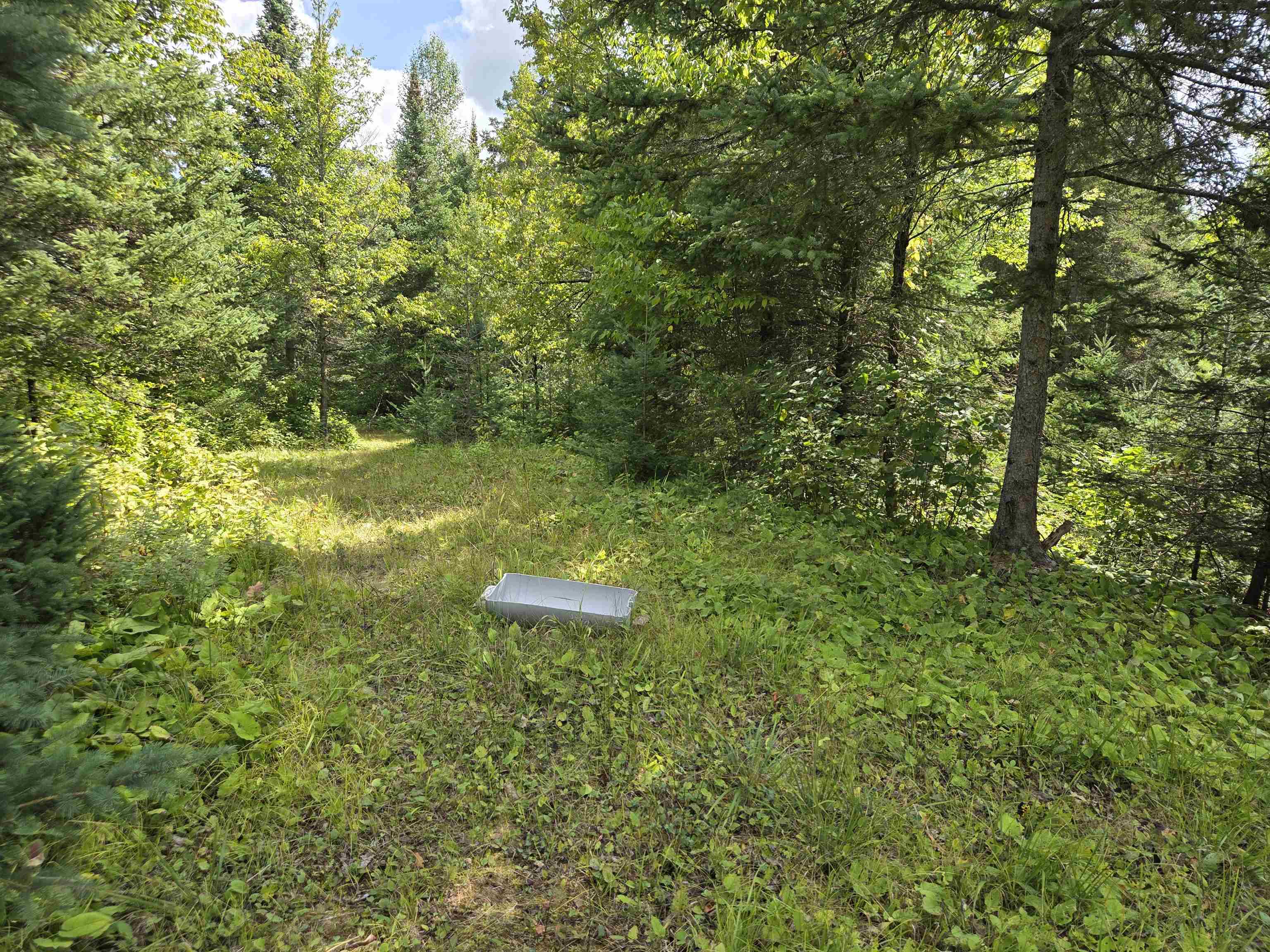 On FIGI ROAD, PARKFALLS, Wisconsin 54552, ,Land,For Sale,On FIGI ROAD,22604181