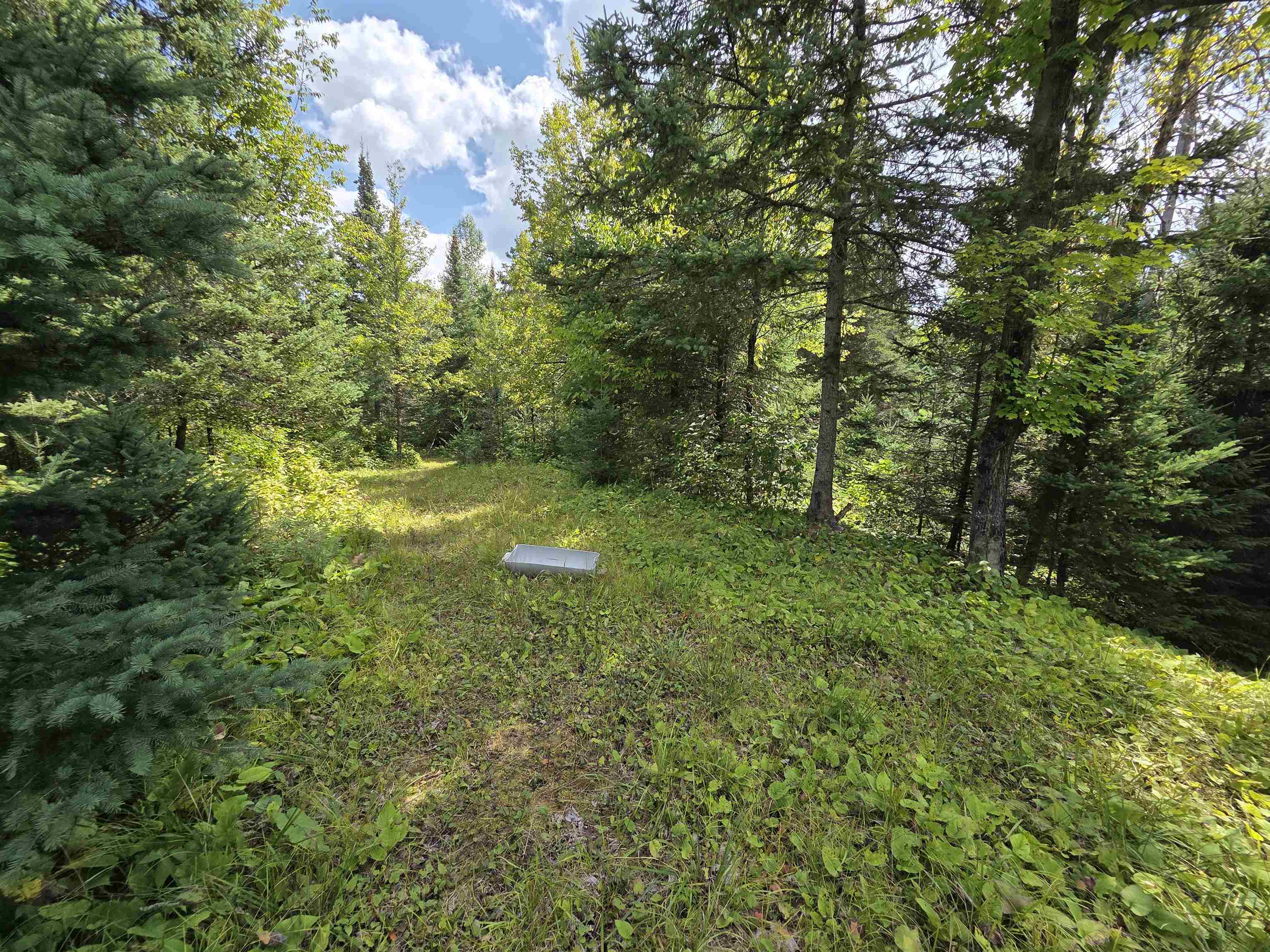 On FIGI ROAD, PARKFALLS, Wisconsin 54552, ,Land,For Sale,On FIGI ROAD,22604181