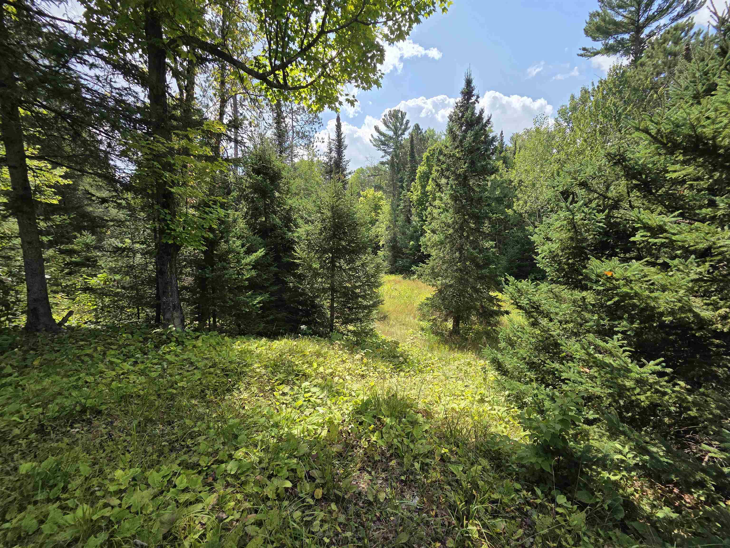 On FIGI ROAD, PARKFALLS, Wisconsin 54552, ,Land,For Sale,On FIGI ROAD,22604181
