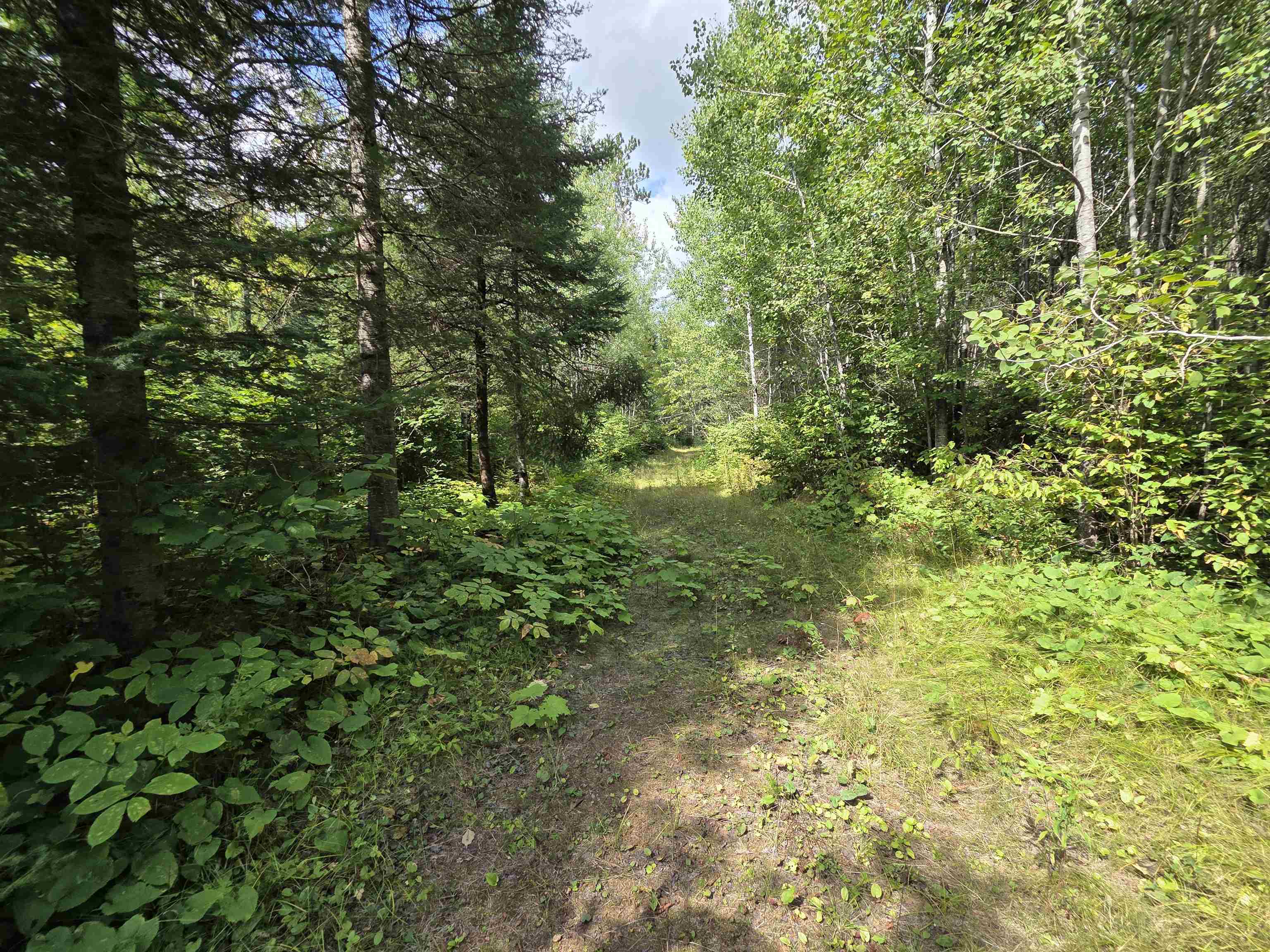 On FIGI ROAD, PARKFALLS, Wisconsin 54552, ,Land,For Sale,On FIGI ROAD,22604181