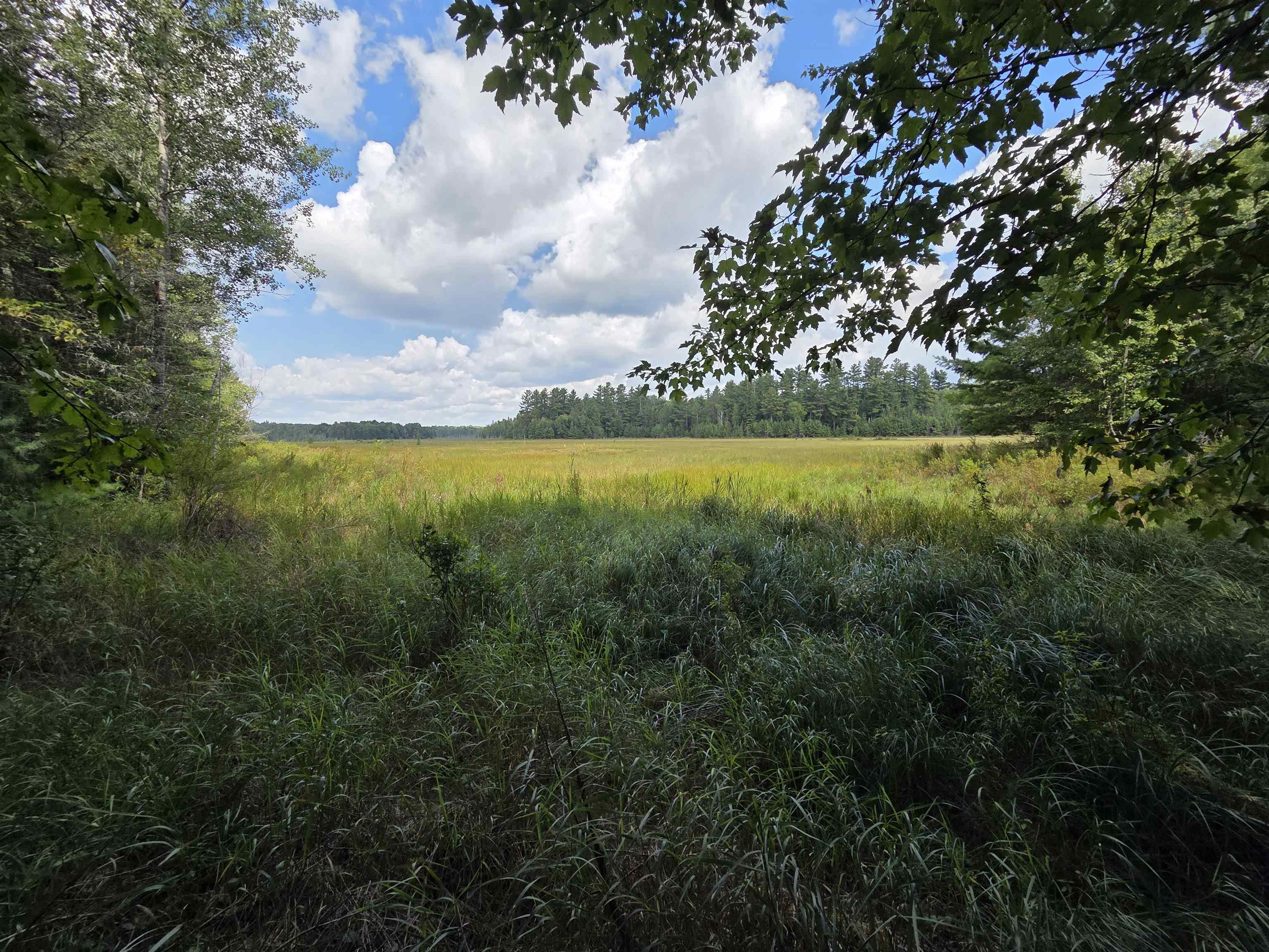 On FIGI ROAD, PARKFALLS, Wisconsin 54552, ,Land,For Sale,On FIGI ROAD,22604181