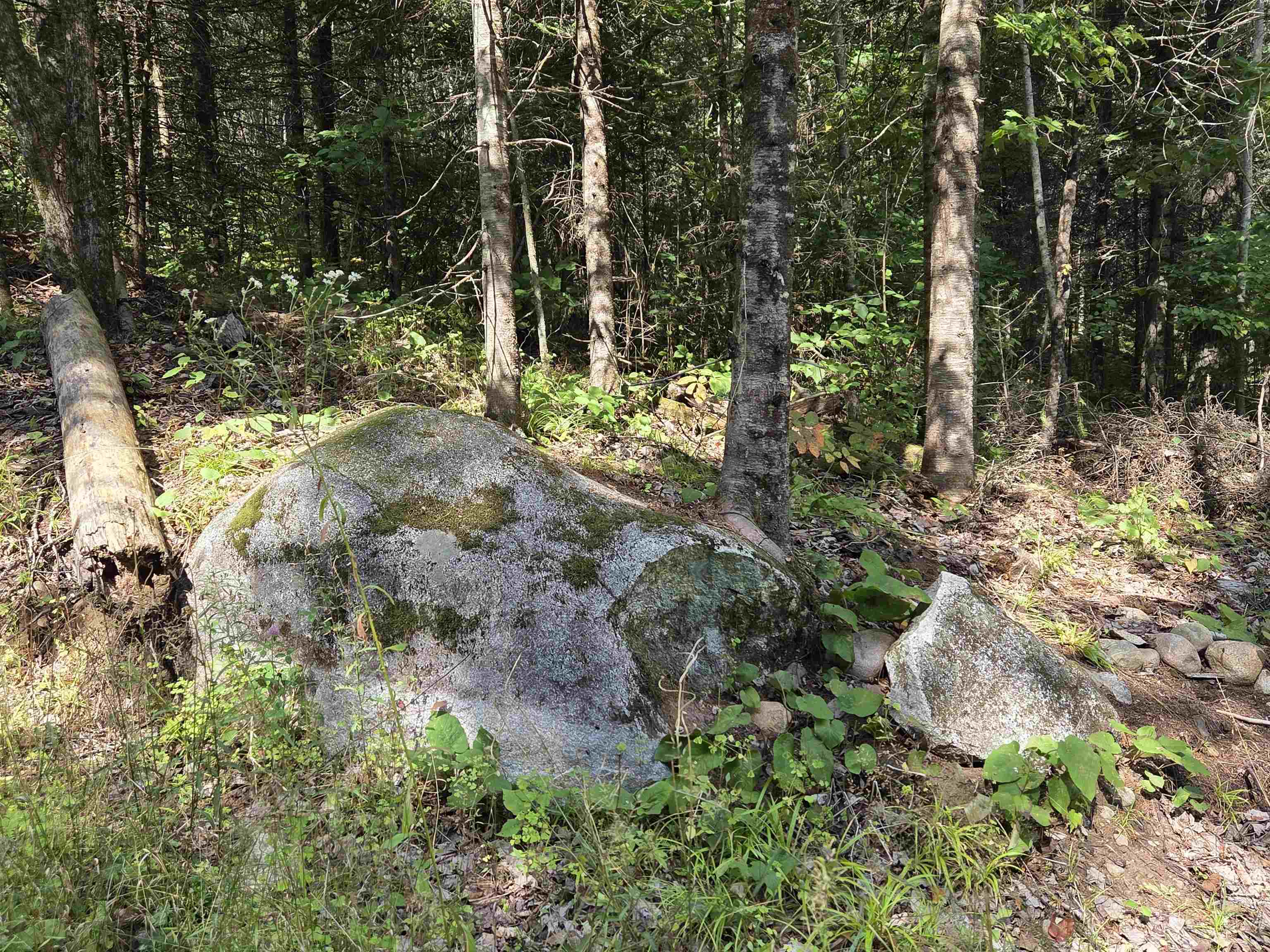 On FIGI ROAD, PARKFALLS, Wisconsin 54552, ,Land,For Sale,On FIGI ROAD,22604181