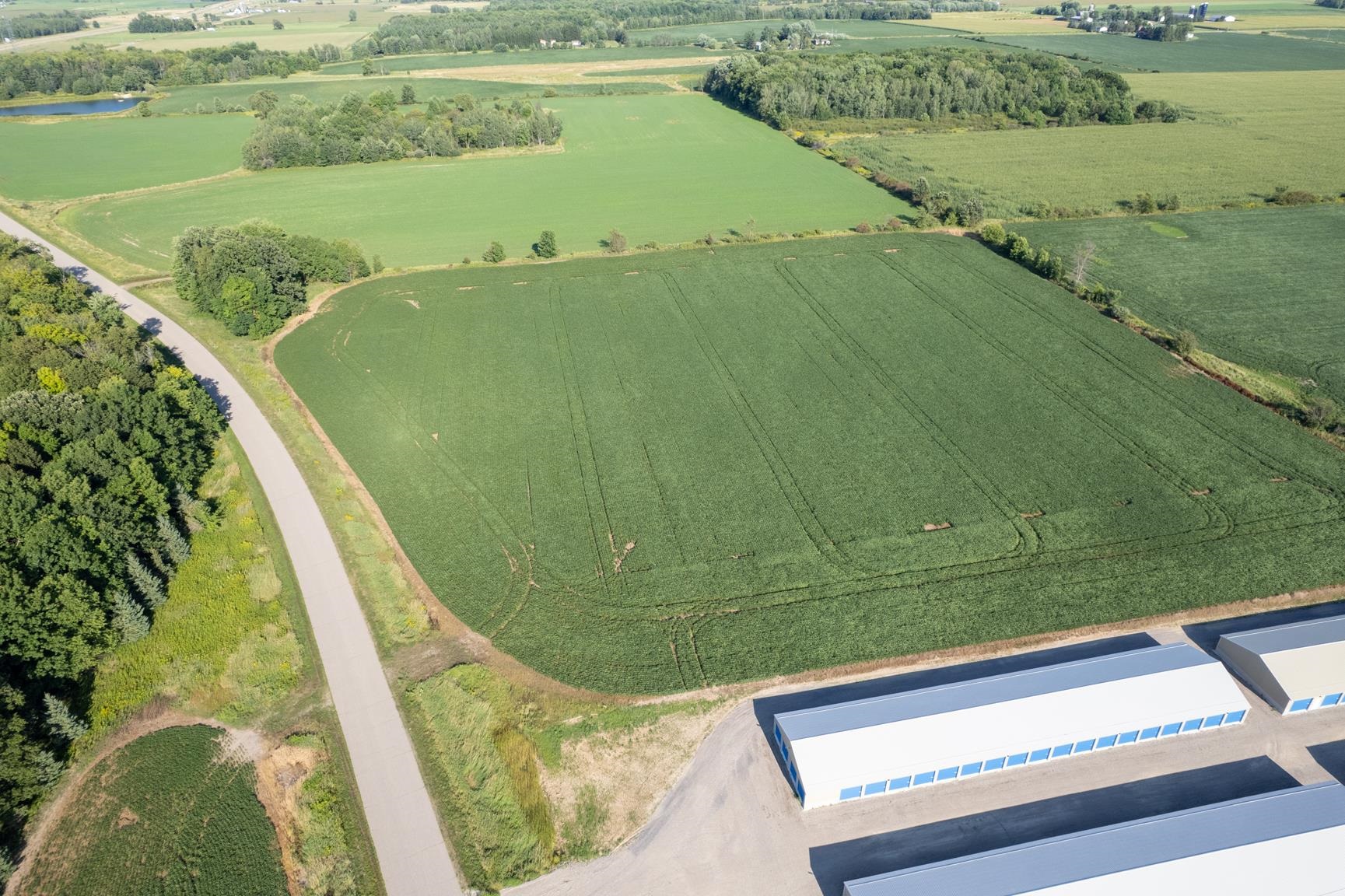 Lot 7 MARSHFIELD ROAD, Marshfield, Wisconsin 54449, ,Land,For Sale,Lot 7 MARSHFIELD ROAD,22604182
