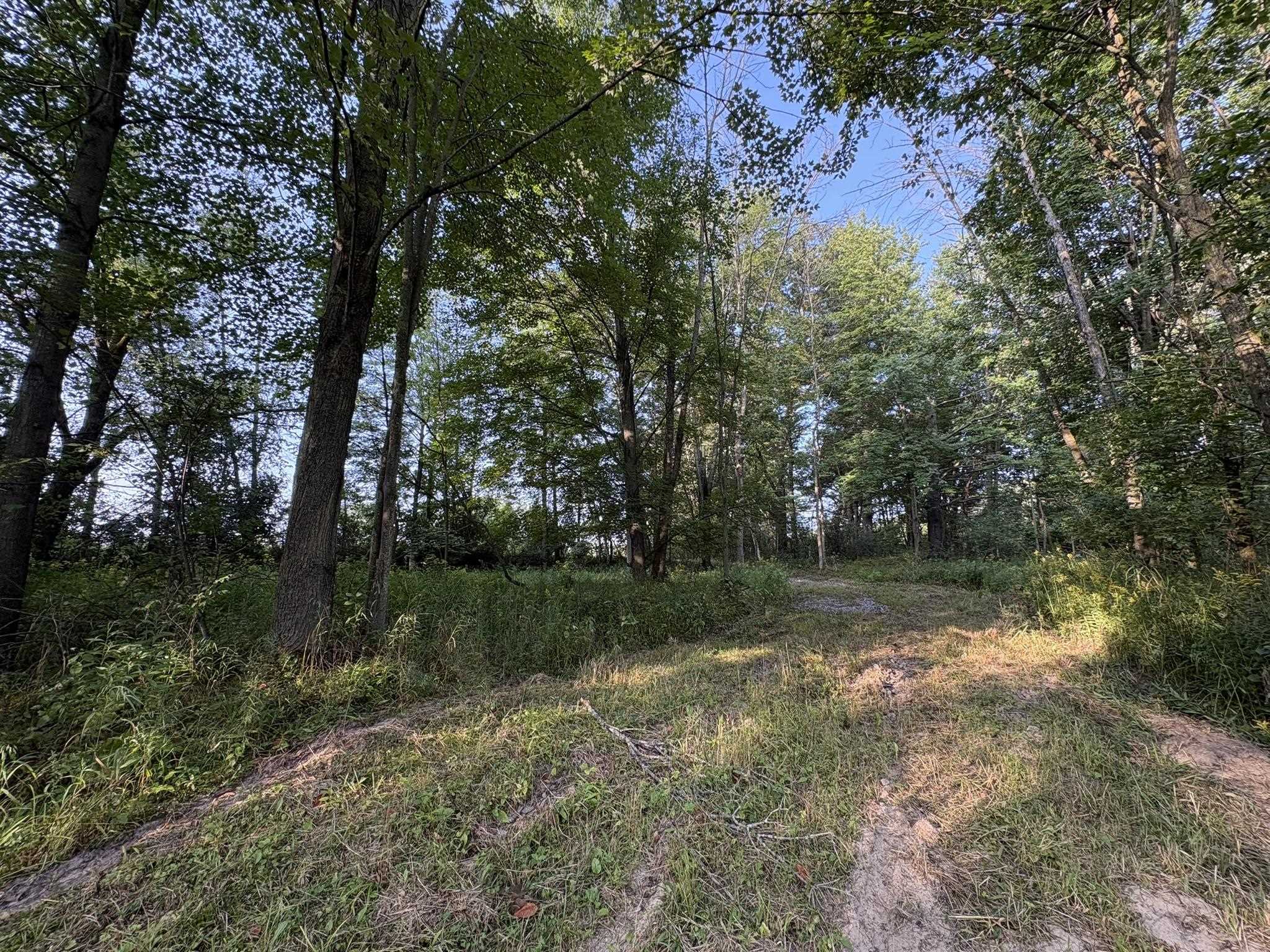 5457 STATE HIGHWAY 34, Rudolph, Wisconsin 54475, ,Land,For Sale,5457 STATE HIGHWAY 34,22604183
