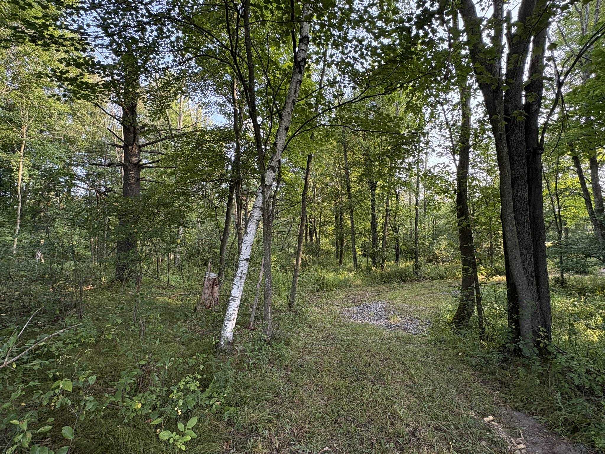 5457 STATE HIGHWAY 34, Rudolph, Wisconsin 54475, ,Land,For Sale,5457 STATE HIGHWAY 34,22604183