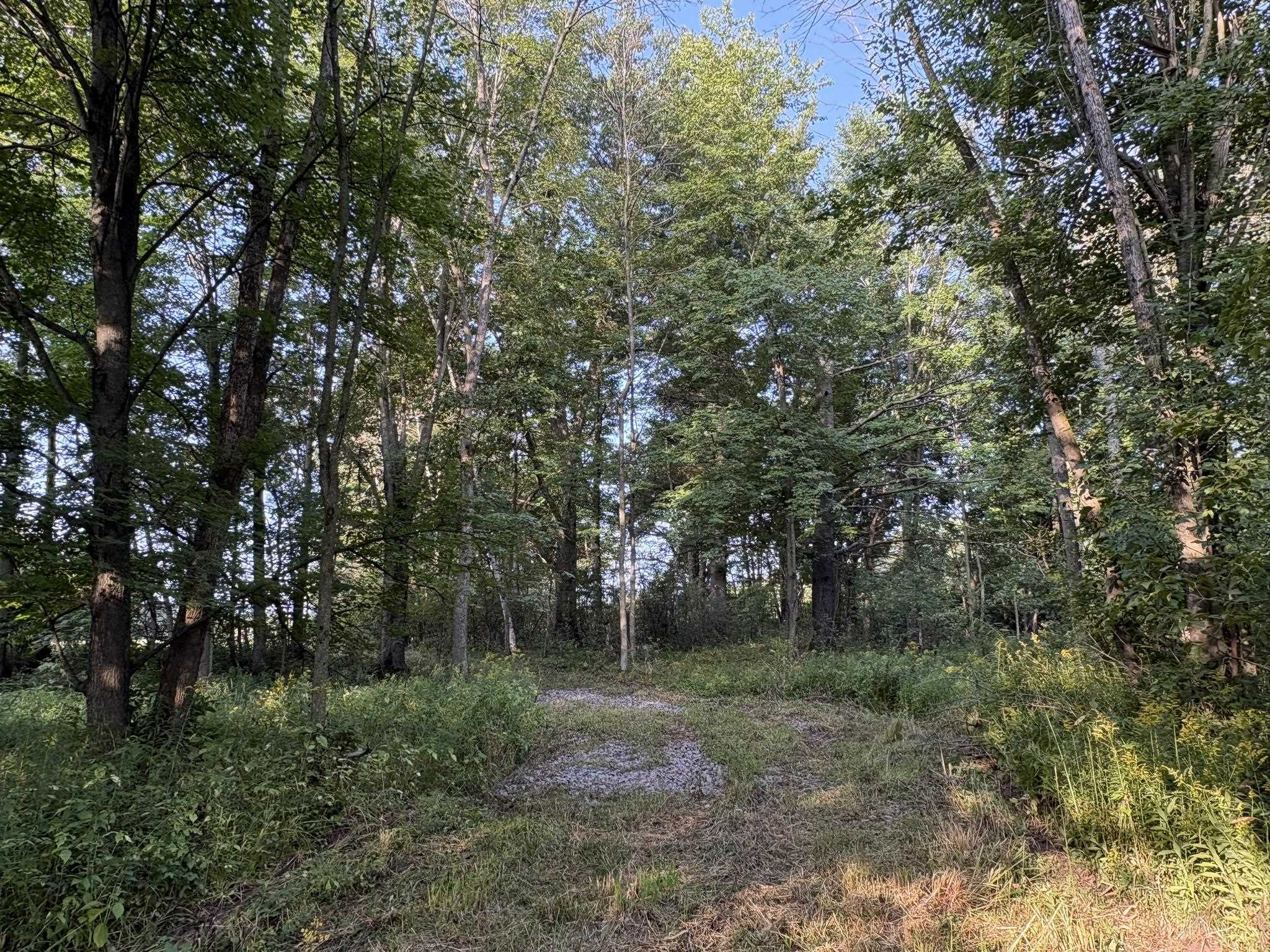 5457 STATE HIGHWAY 34, Rudolph, Wisconsin 54475, ,Land,For Sale,5457 STATE HIGHWAY 34,22604183