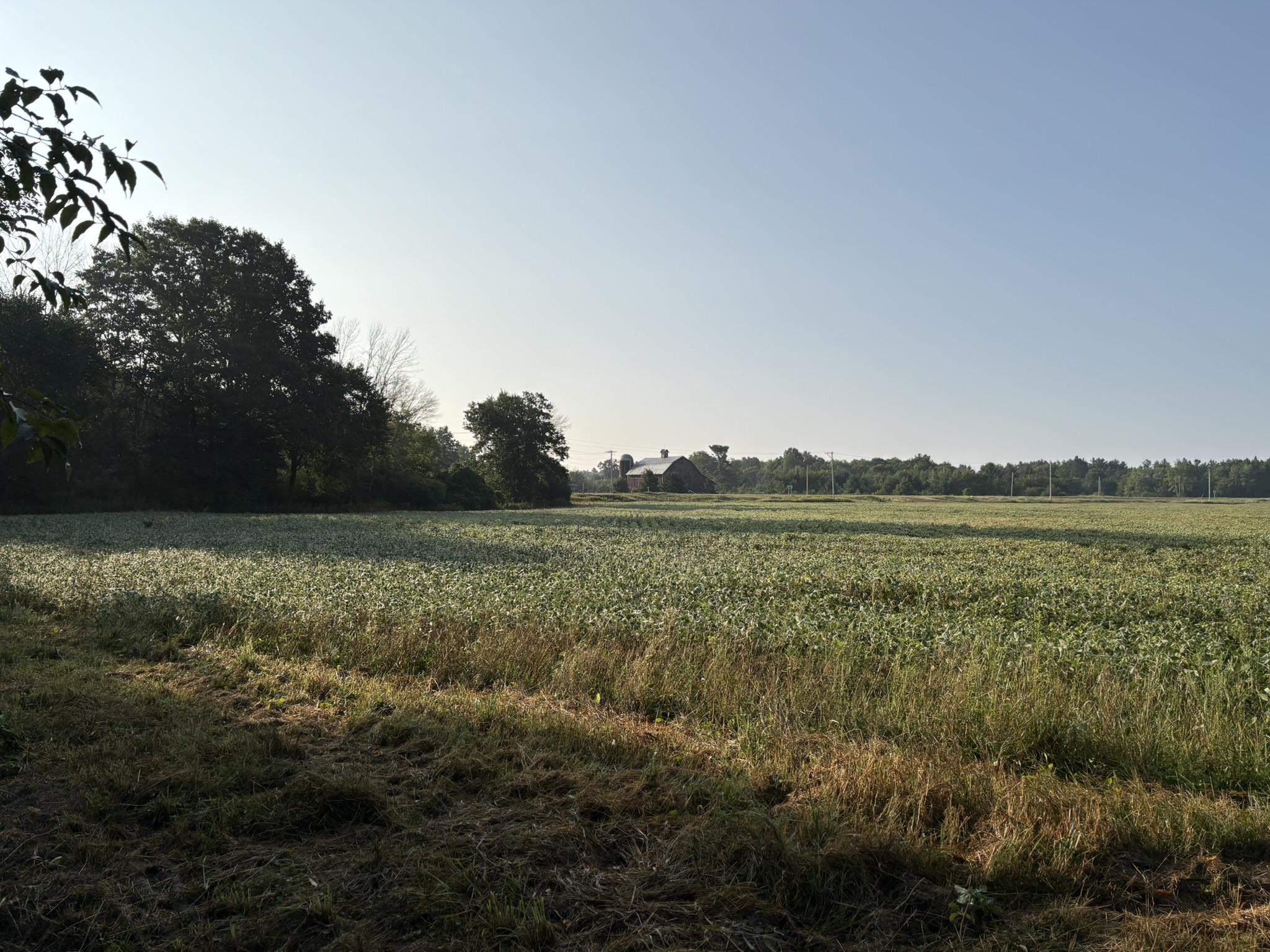 5457 STATE HIGHWAY 34, Rudolph, Wisconsin 54475, ,Land,For Sale,5457 STATE HIGHWAY 34,22604183