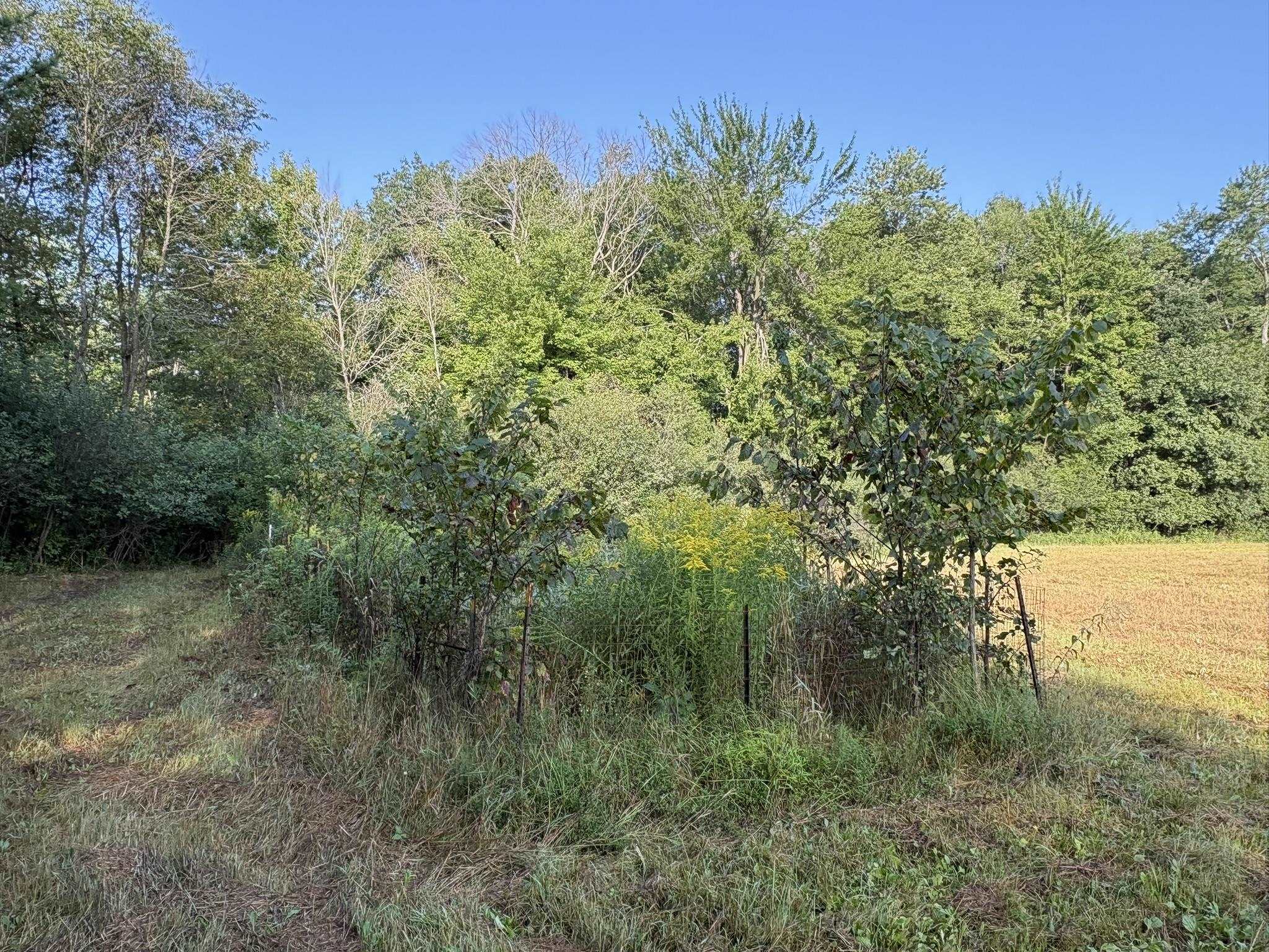 5457 STATE HIGHWAY 34, Rudolph, Wisconsin 54475, ,Land,For Sale,5457 STATE HIGHWAY 34,22604183