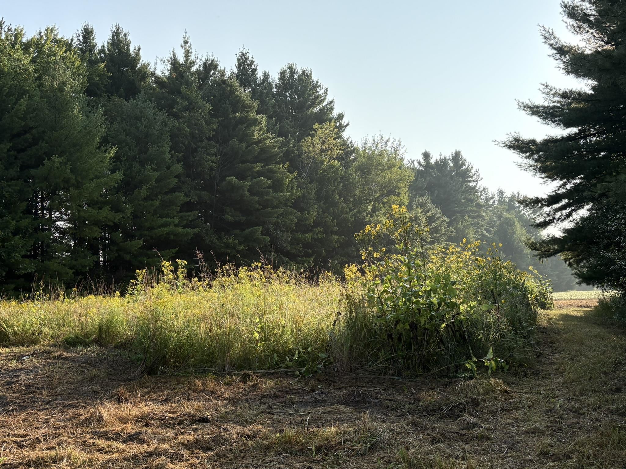 5457 STATE HIGHWAY 34, Rudolph, Wisconsin 54475, ,Land,For Sale,5457 STATE HIGHWAY 34,22604183