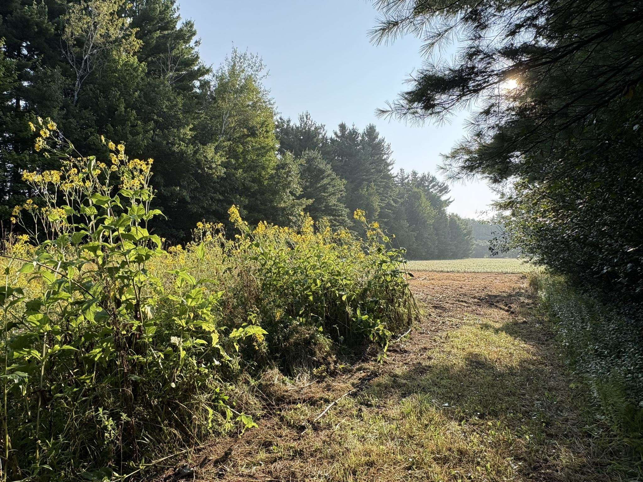 5457 STATE HIGHWAY 34, Rudolph, Wisconsin 54475, ,Land,For Sale,5457 STATE HIGHWAY 34,22604183
