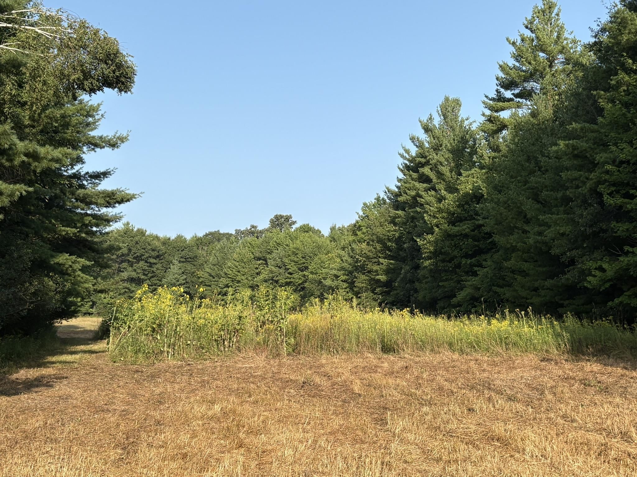 5457 STATE HIGHWAY 34, Rudolph, Wisconsin 54475, ,Land,For Sale,5457 STATE HIGHWAY 34,22604183