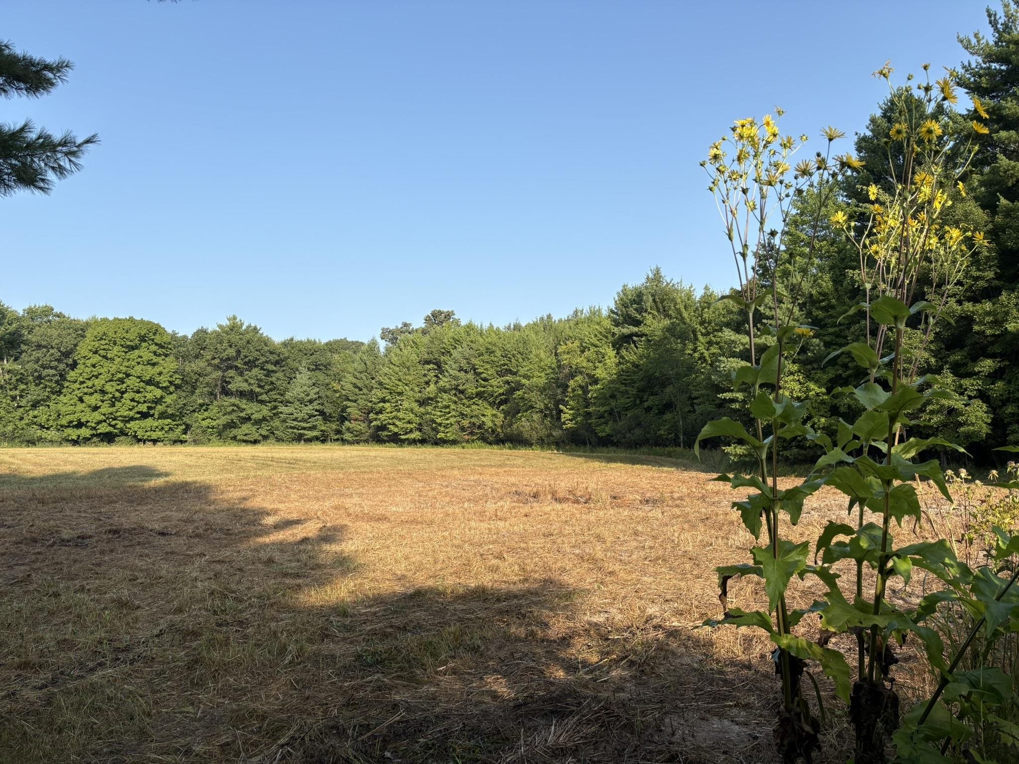 5457 STATE HIGHWAY 34, Rudolph, Wisconsin 54475, ,Land,For Sale,5457 STATE HIGHWAY 34,22604183