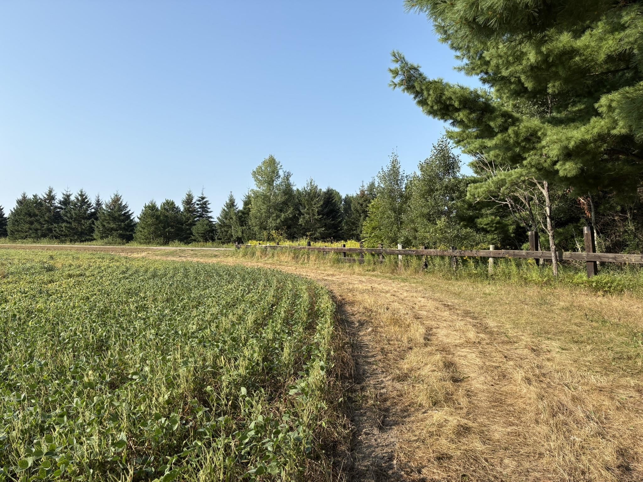 5457 STATE HIGHWAY 34, Rudolph, Wisconsin 54475, ,Land,For Sale,5457 STATE HIGHWAY 34,22604183