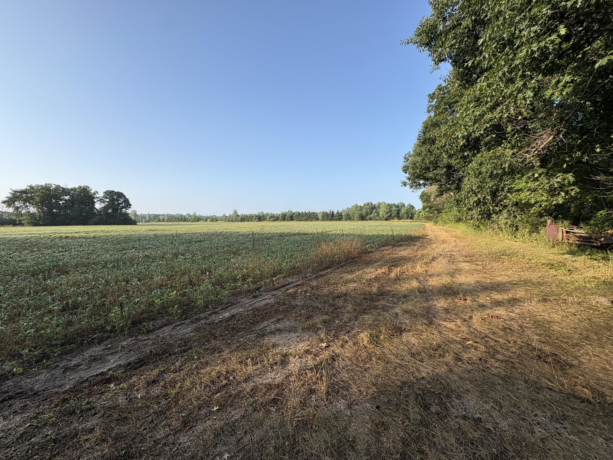 5457 STATE HIGHWAY 34, Rudolph, Wisconsin 54475, ,Land,For Sale,5457 STATE HIGHWAY 34,22604183