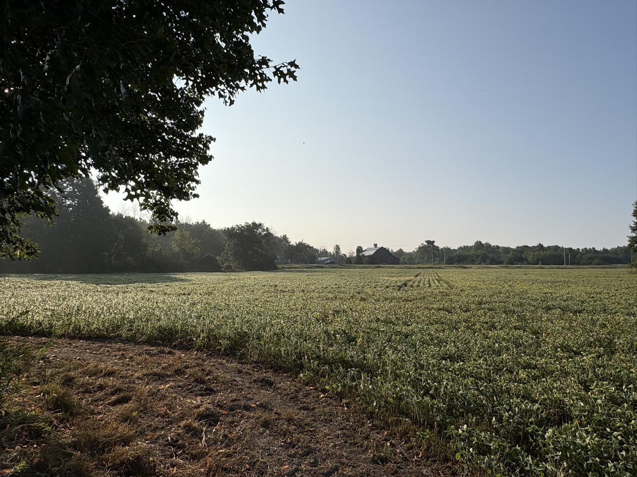5457 STATE HIGHWAY 34, Rudolph, Wisconsin 54475, ,Land,For Sale,5457 STATE HIGHWAY 34,22604183