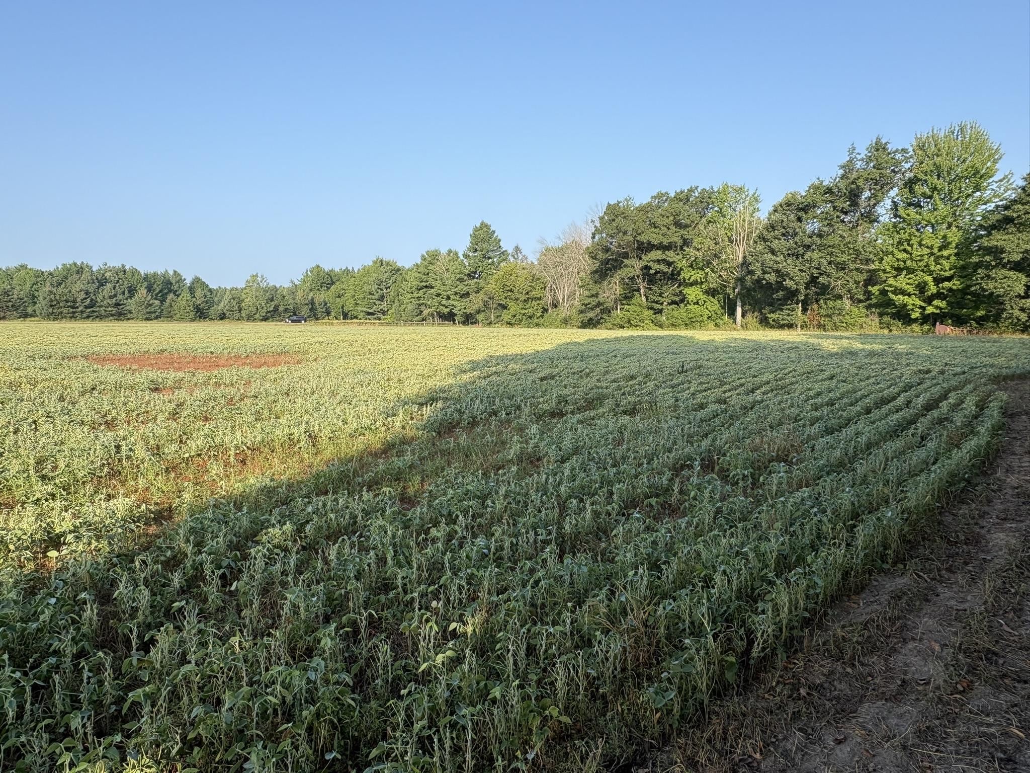 5457 STATE HIGHWAY 34, Rudolph, Wisconsin 54475, ,Land,For Sale,5457 STATE HIGHWAY 34,22604183