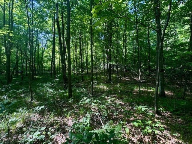 N8823 DICKERSON AVENUE, Willard, Wisconsin 54493, ,Land,For Sale,N8823 DICKERSON AVENUE,22604198