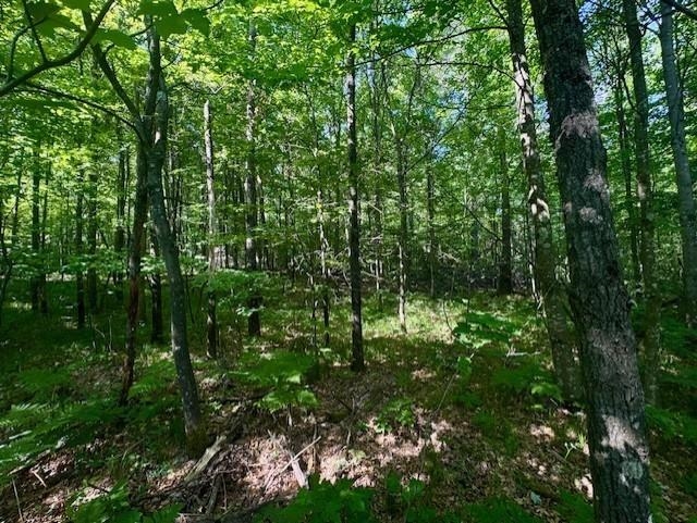N8823 DICKERSON AVENUE, Willard, Wisconsin 54493, ,Land,For Sale,N8823 DICKERSON AVENUE,22604198
