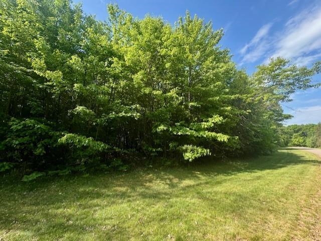 N8823 DICKERSON AVENUE, Willard, Wisconsin 54493, ,Land,For Sale,N8823 DICKERSON AVENUE,22604198