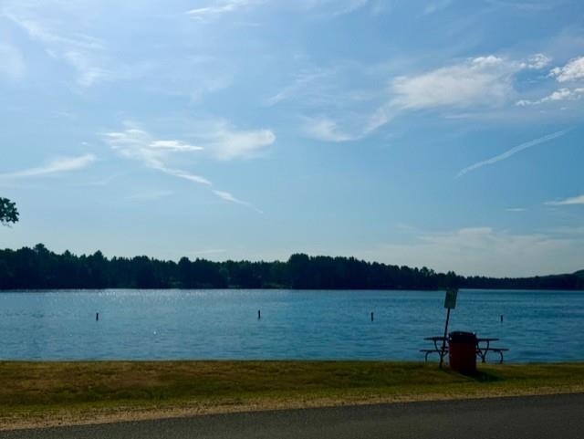 N8823 DICKERSON AVENUE, Willard, Wisconsin 54493, ,Land,For Sale,N8823 DICKERSON AVENUE,22604198