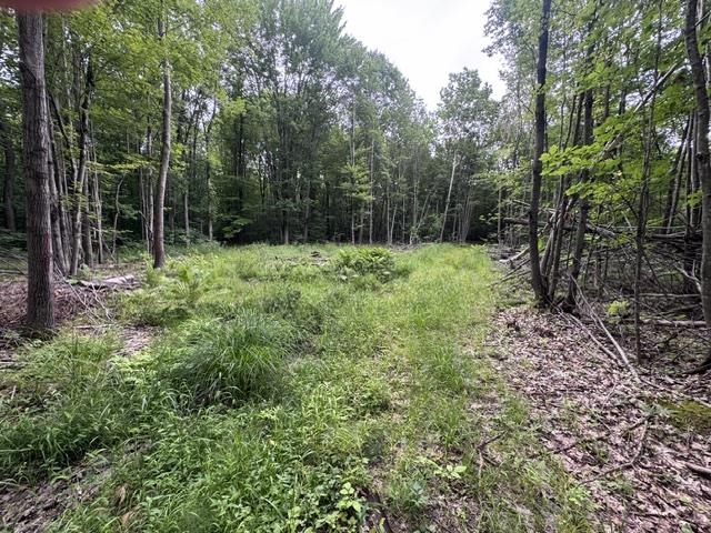 240701 SAWMILL ROAD, Aniwa, Wisconsin 54408, ,Land,For Sale,240701 SAWMILL ROAD,22604199