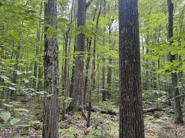 240701 SAWMILL ROAD, Aniwa, Wisconsin 54408, ,Land,For Sale,240701 SAWMILL ROAD,22604199