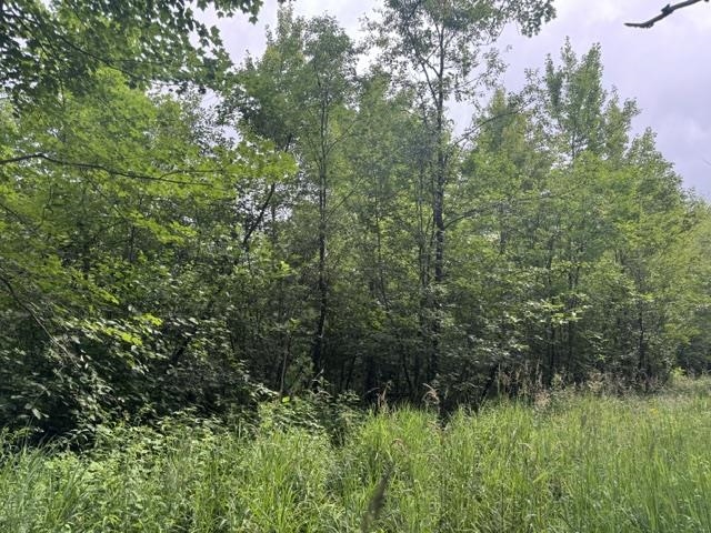 240701 SAWMILL ROAD, Aniwa, Wisconsin 54408, ,Land,For Sale,240701 SAWMILL ROAD,22604199