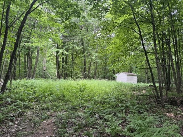 240701 SAWMILL ROAD, Aniwa, Wisconsin 54408, ,Land,For Sale,240701 SAWMILL ROAD,22604199