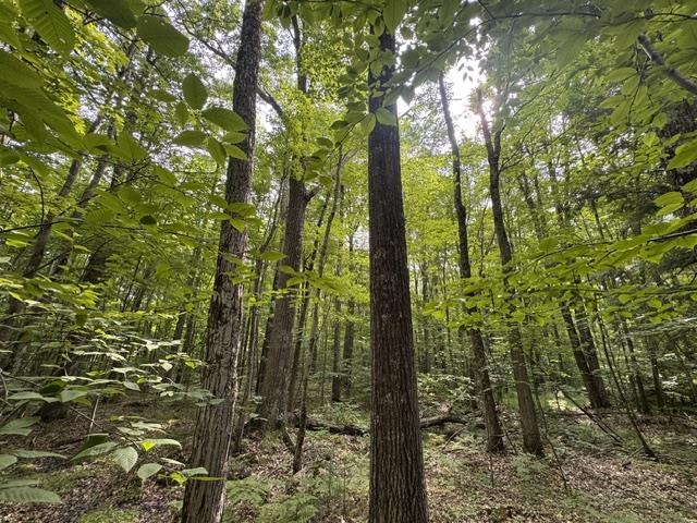 240701 SAWMILL ROAD, Aniwa, Wisconsin 54408, ,Land,For Sale,240701 SAWMILL ROAD,22604199